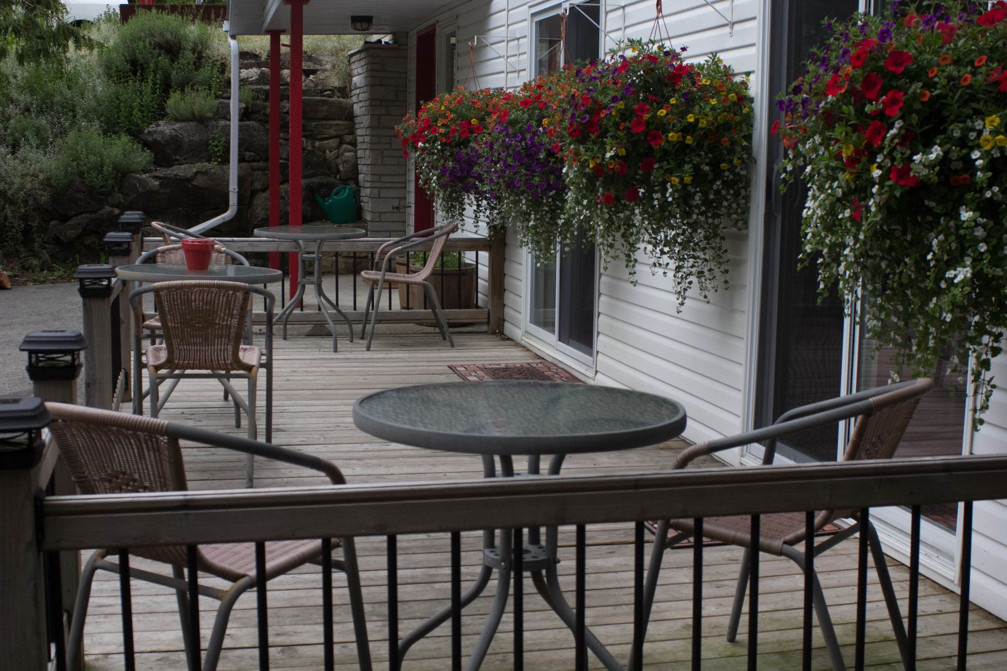 The Forest House Bed & Breakfast