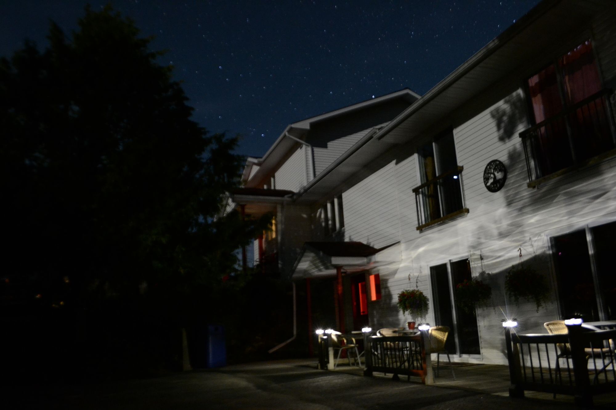 The Forest House Bed & Breakfast