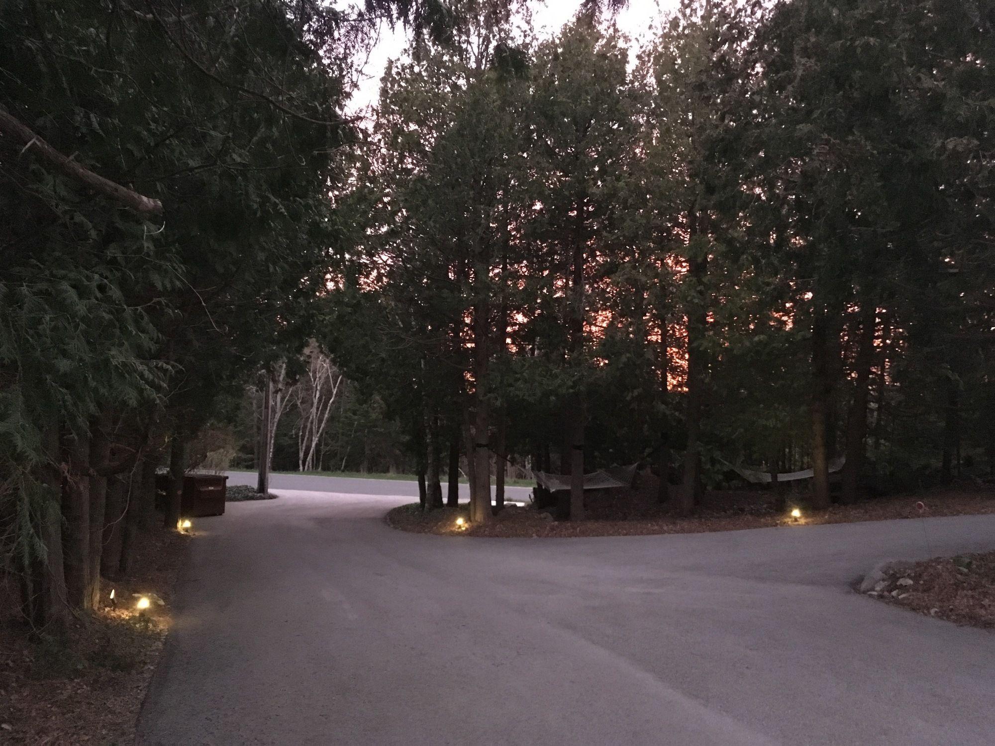 The Forest House Bed & Breakfast