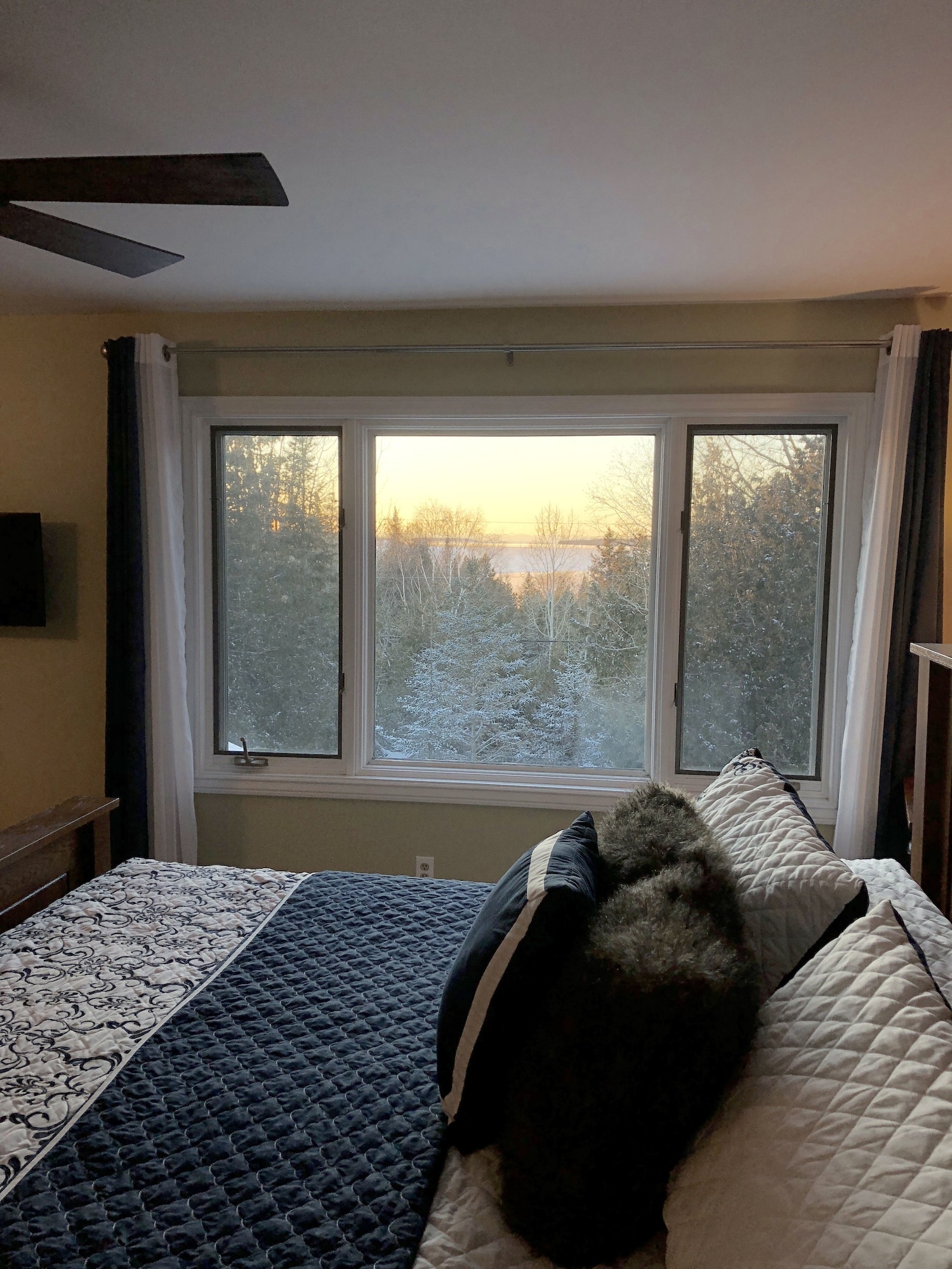 The Forest House Bed & Breakfast