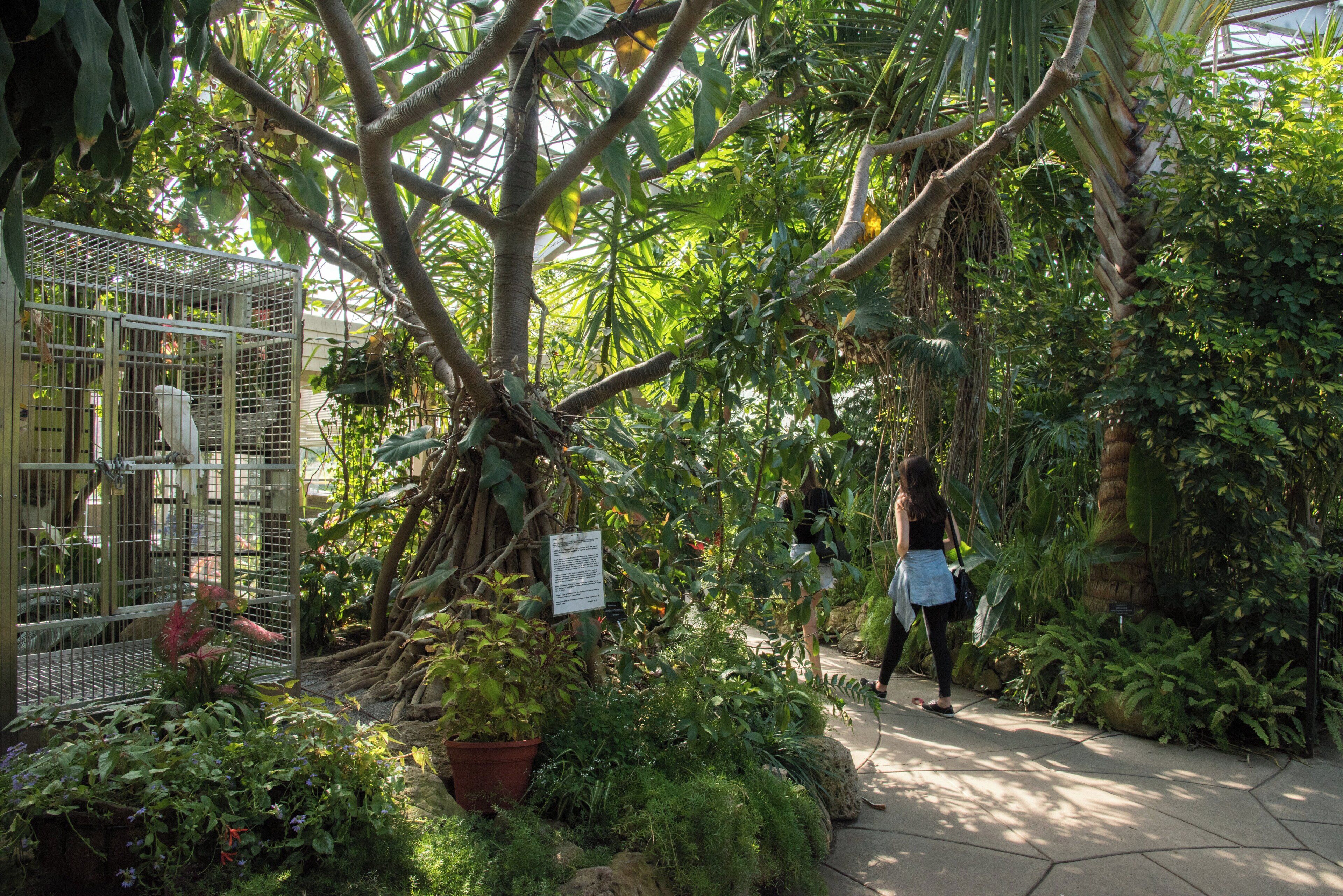 Staybridge Suites Toronto Airport East by IHG