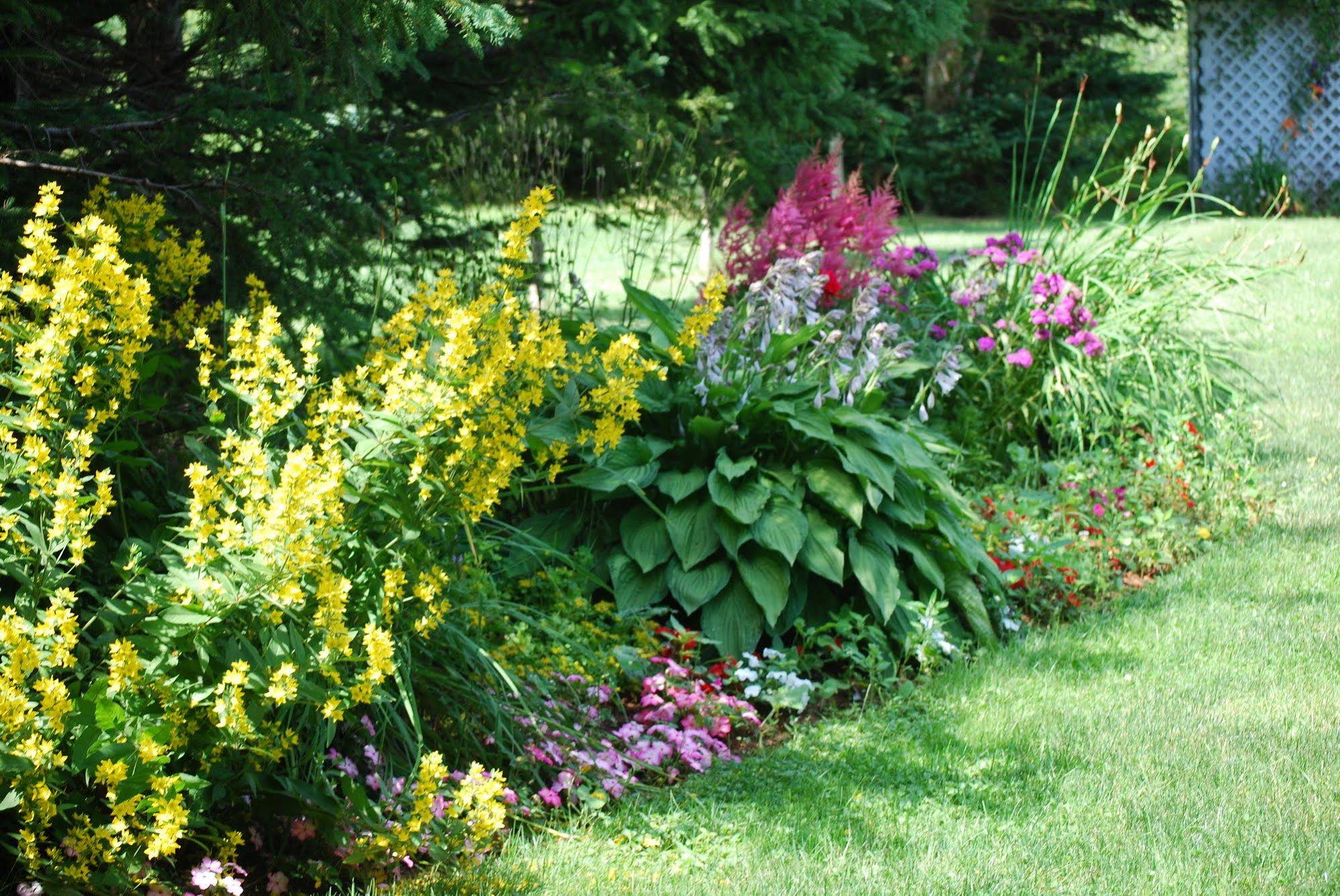 Shady Lane B&B and Cottage