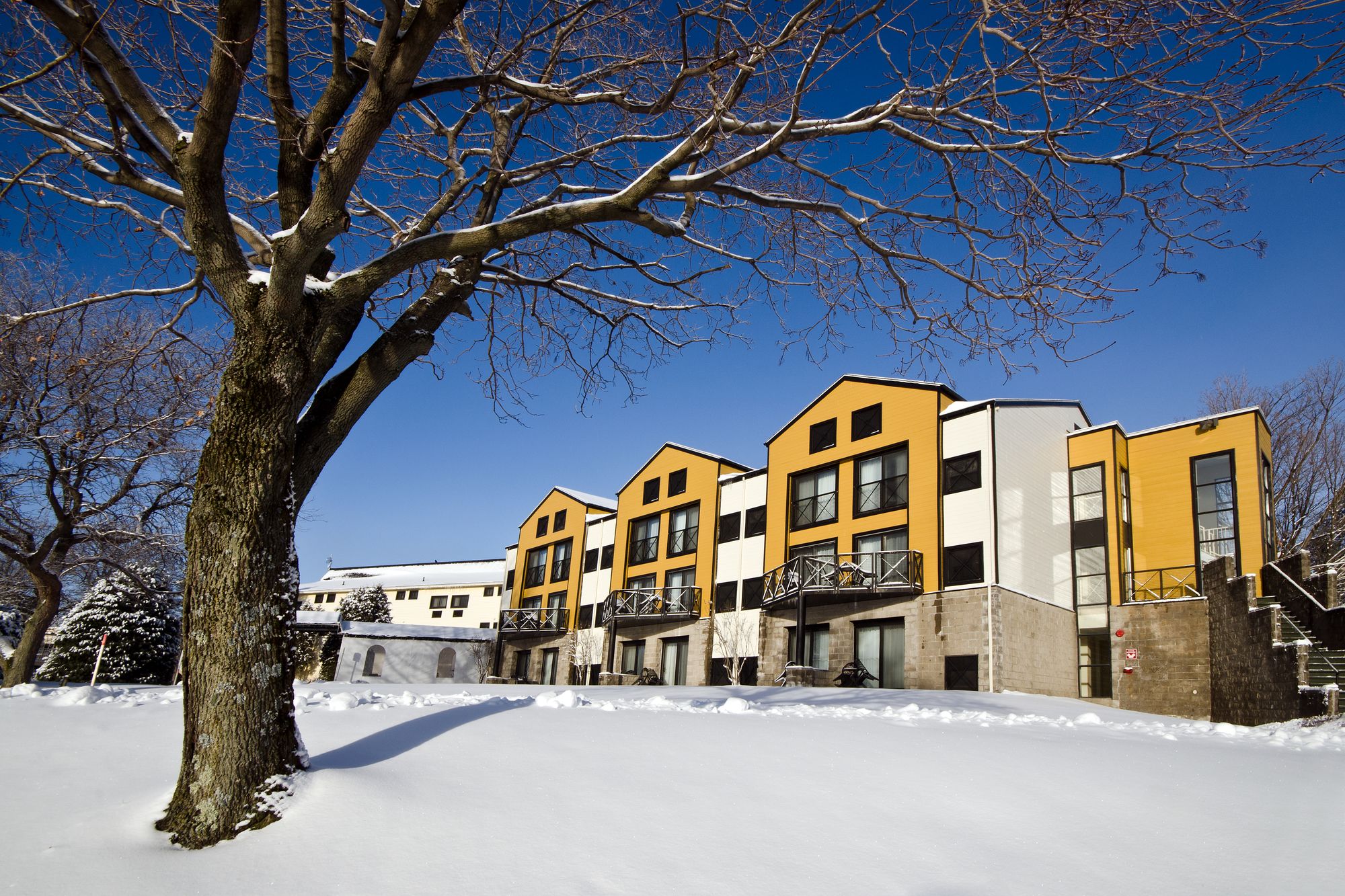 Auberge du Chateau Bromont