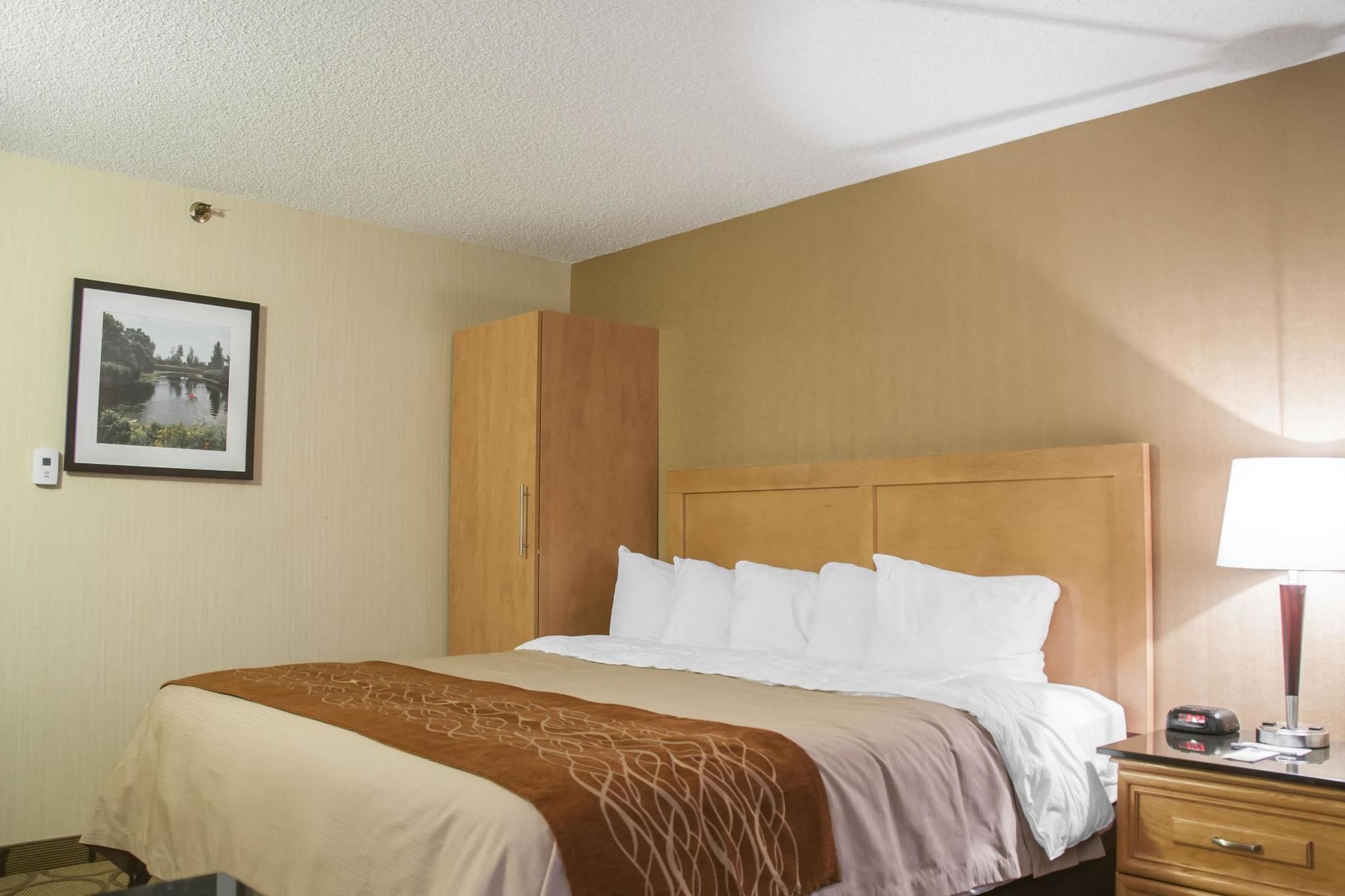 Comfort Inn South