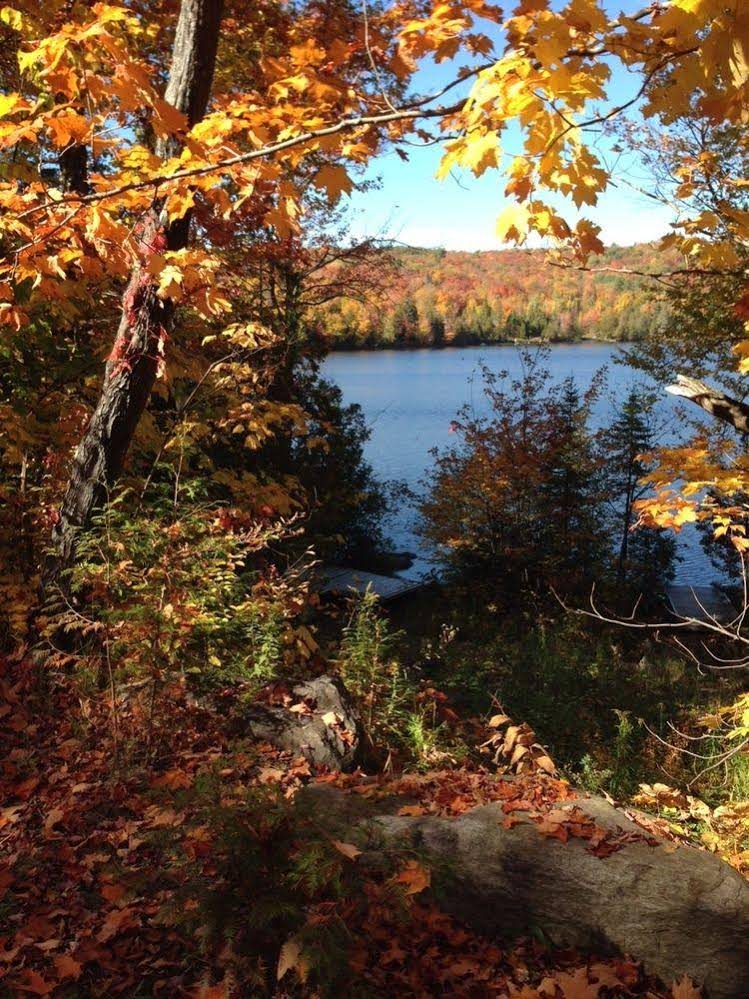 Chalet Les Fables du Lac Lafontaine