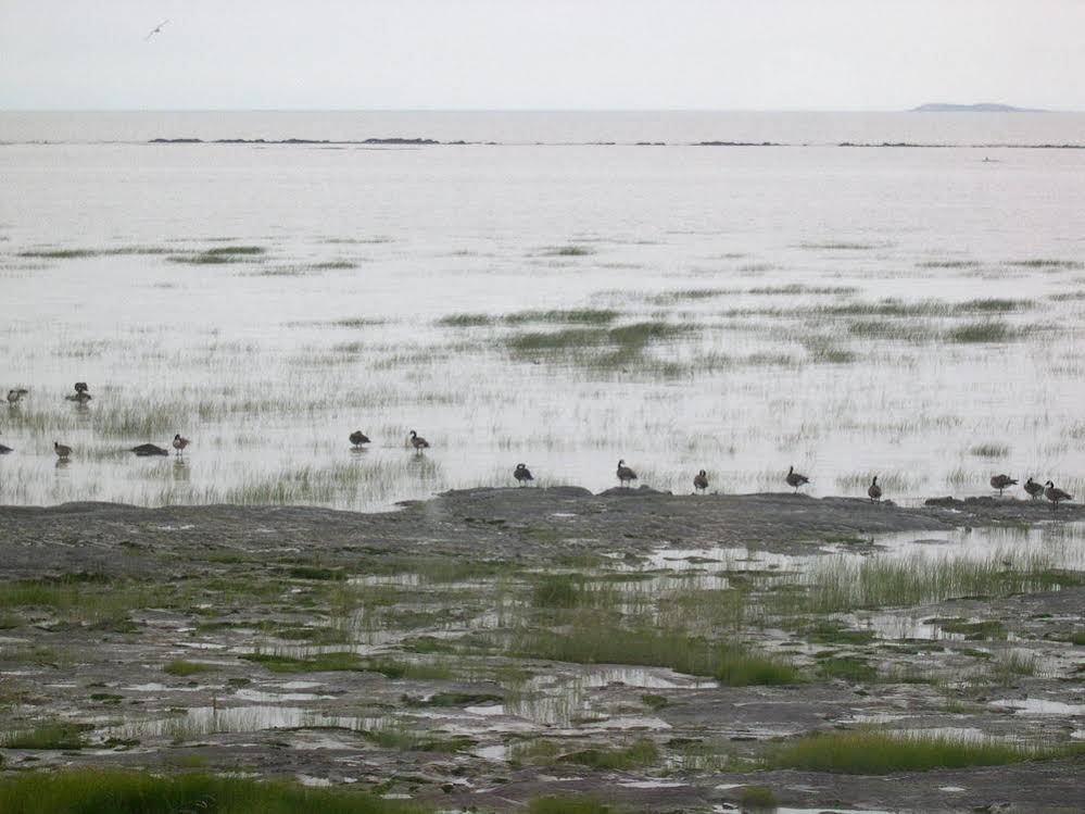 Gîte Les Pieds Dans L'Eau