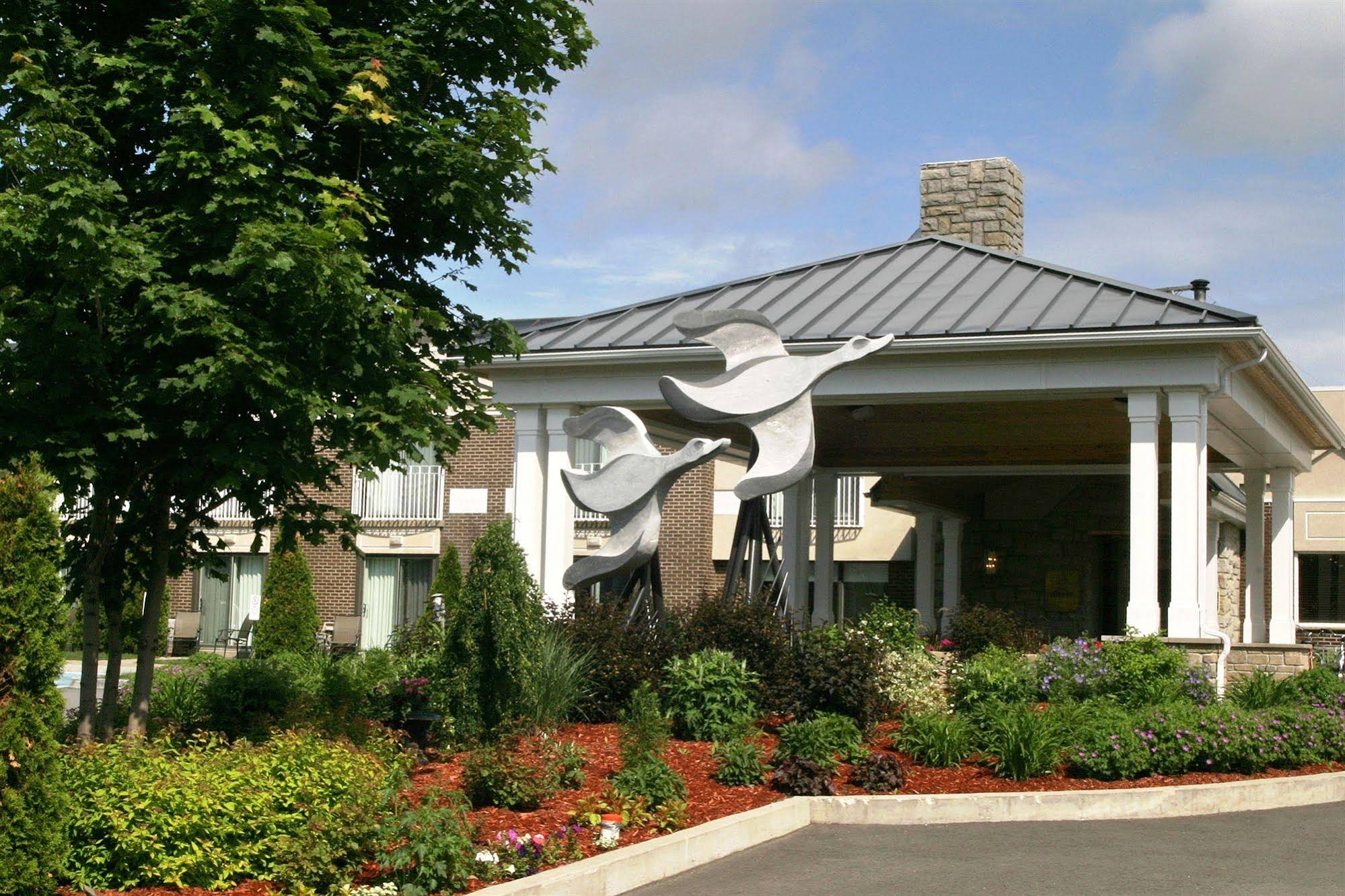 L'Oiseliere Montmagny