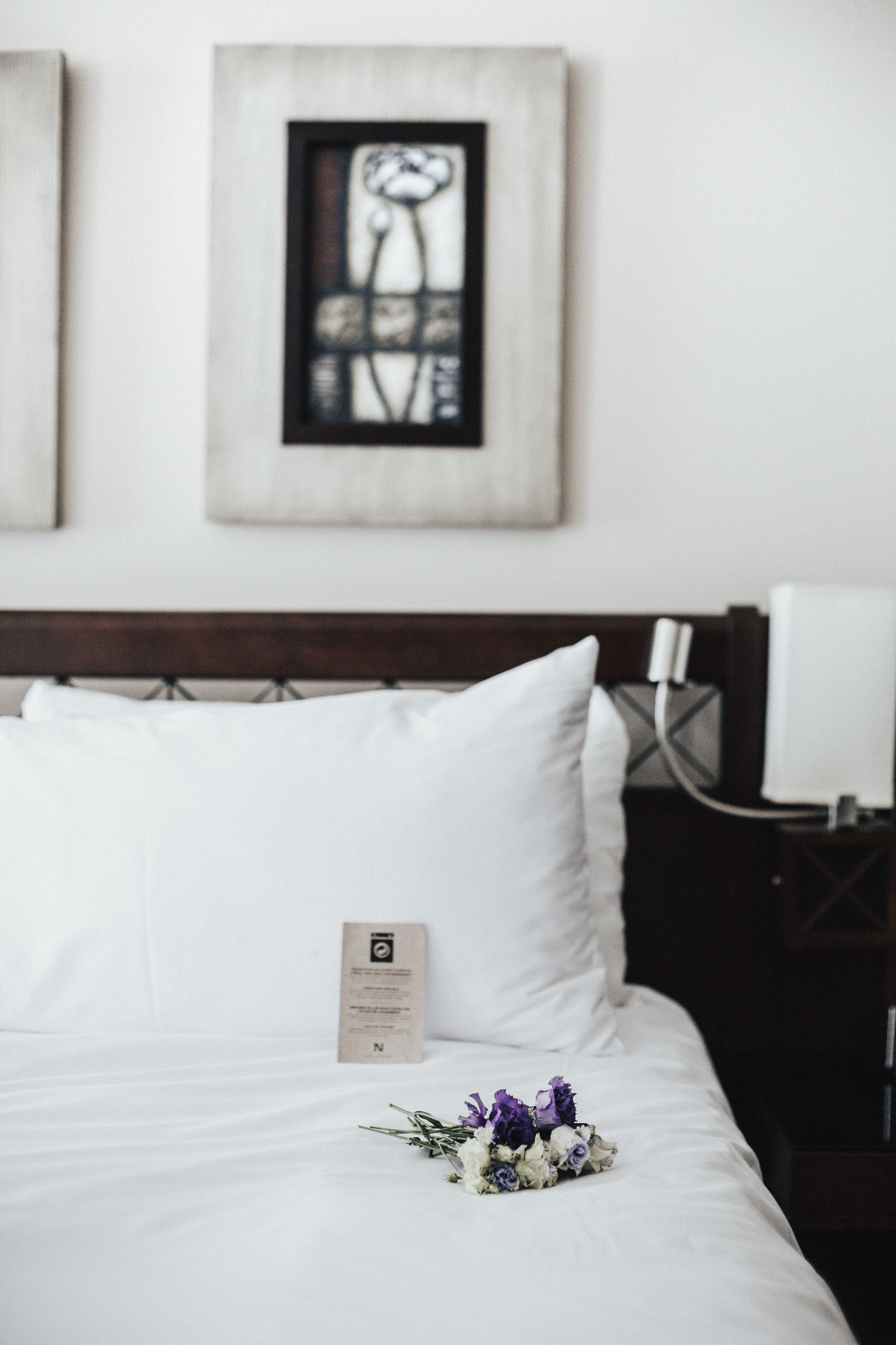 Hotel Nelligan