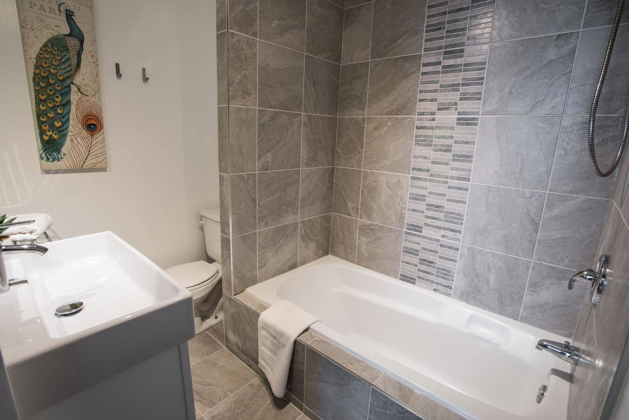 MtlVacationRentals - MTL ZOO