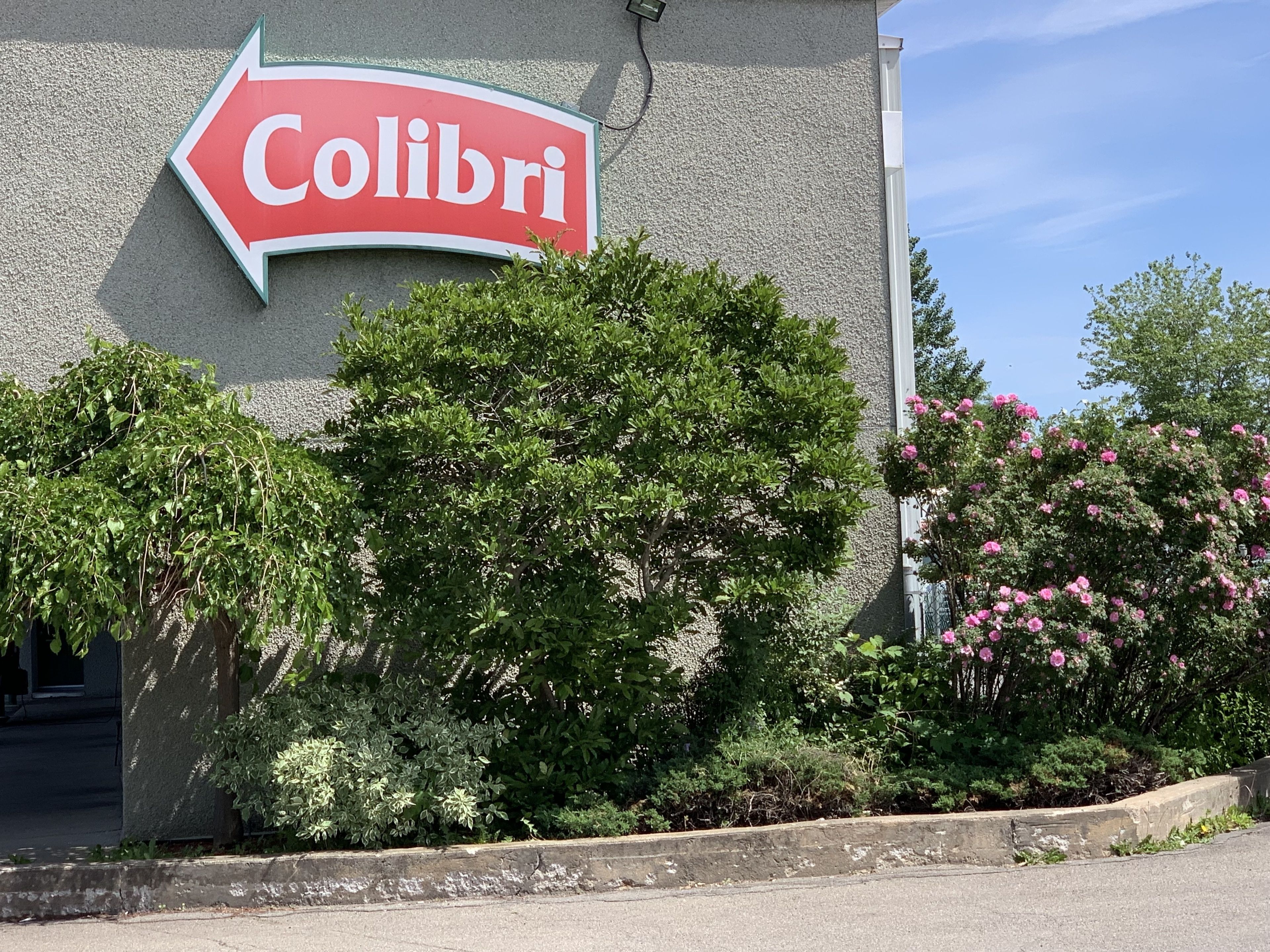 Super 8 by Wyndham Montreal