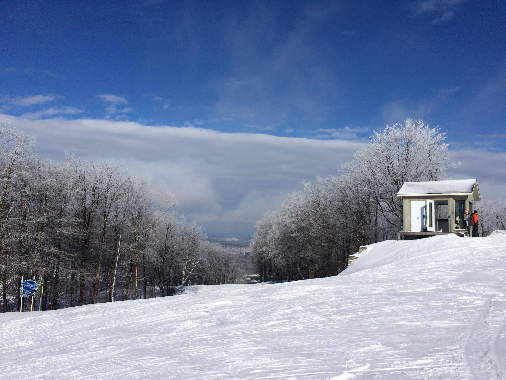 BB Saffron Tremblant