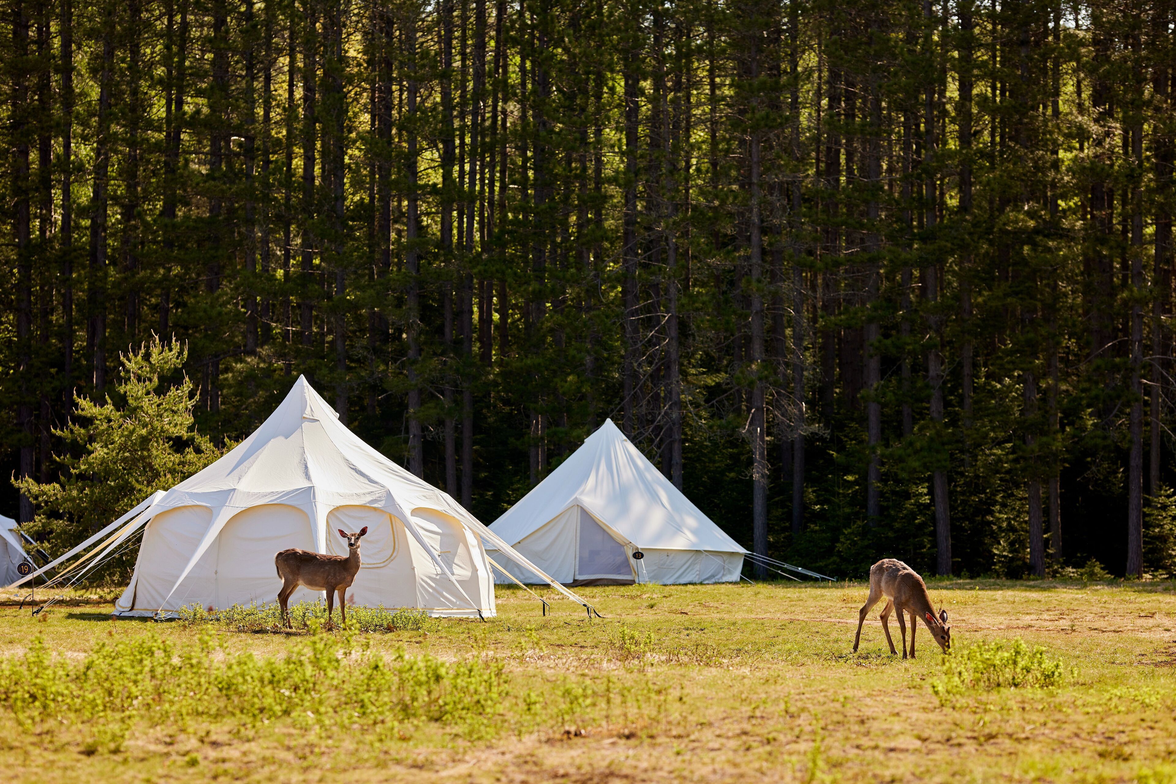 Uniq Domaine Saint Bernard Hôtel