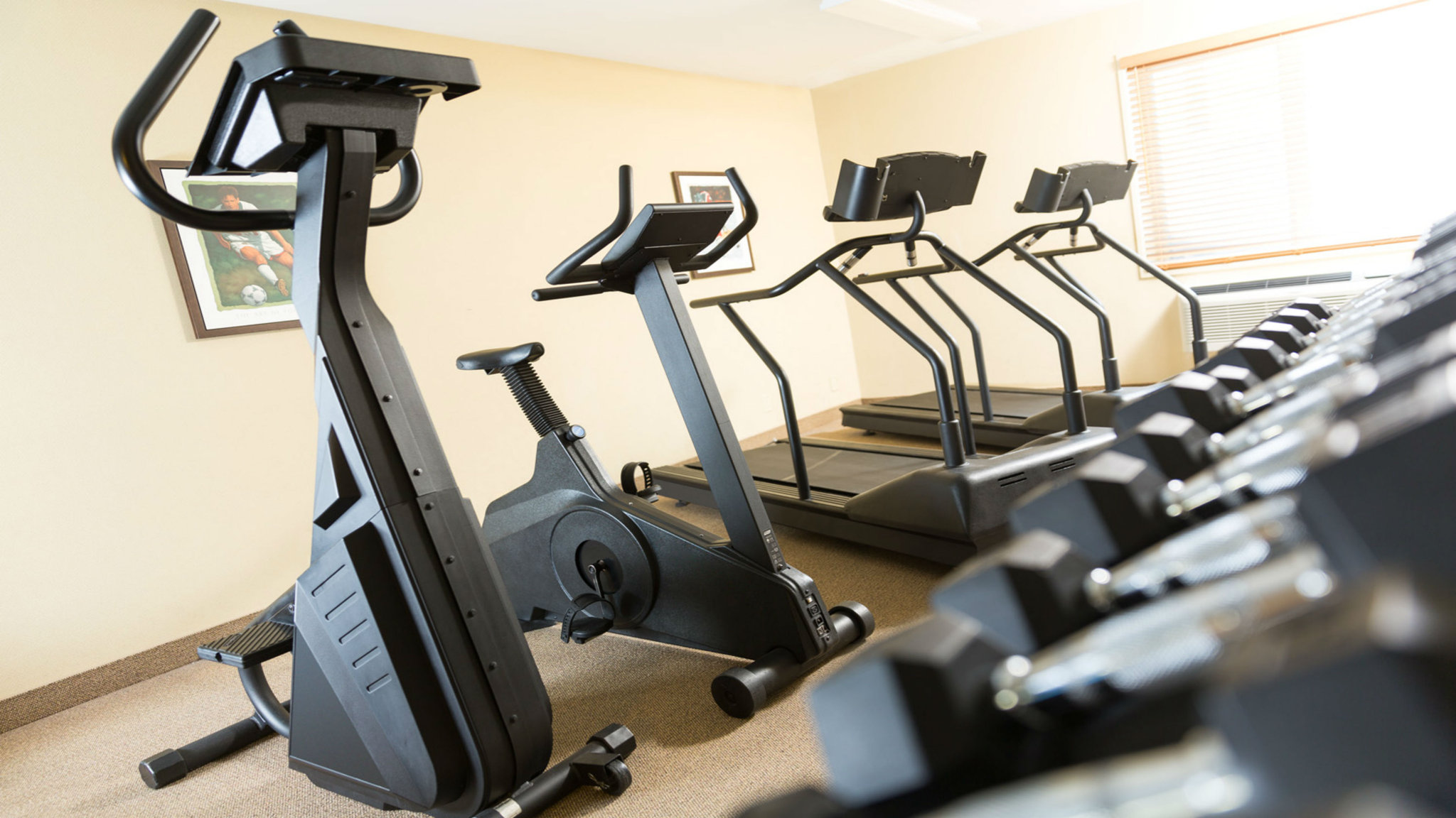 Holiday Inn Express Quebec City (Sainte-Foy)