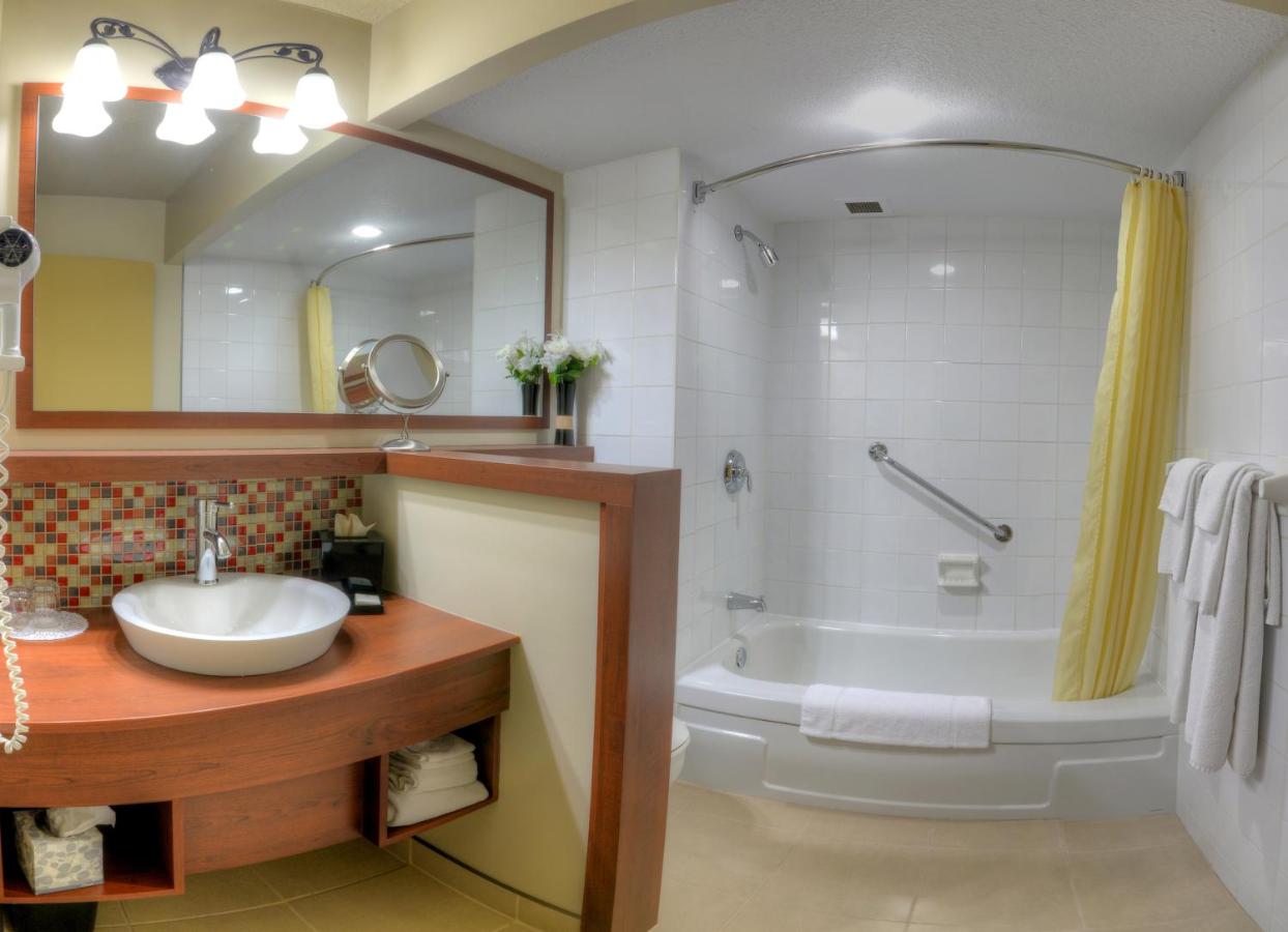 Hotel Universel