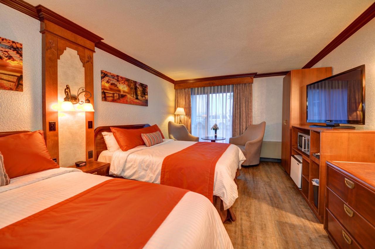 Hotel Universel