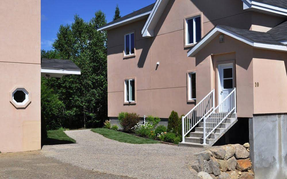 La Tanière de l'Ours Gîte B&B