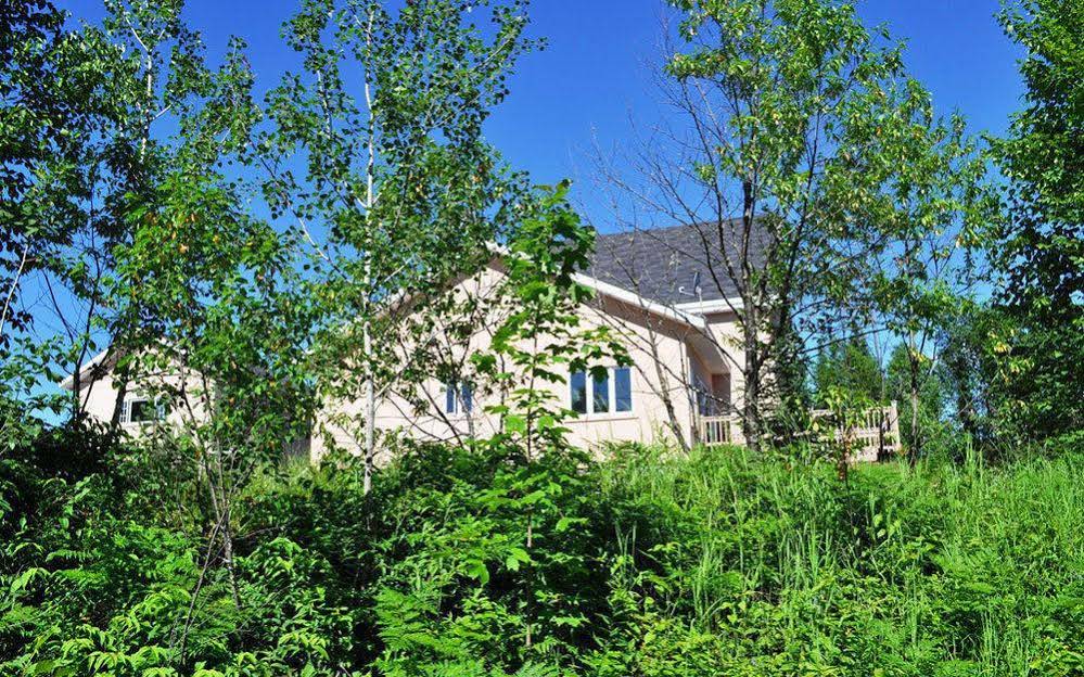 La Tanière de l'Ours Gîte B&B