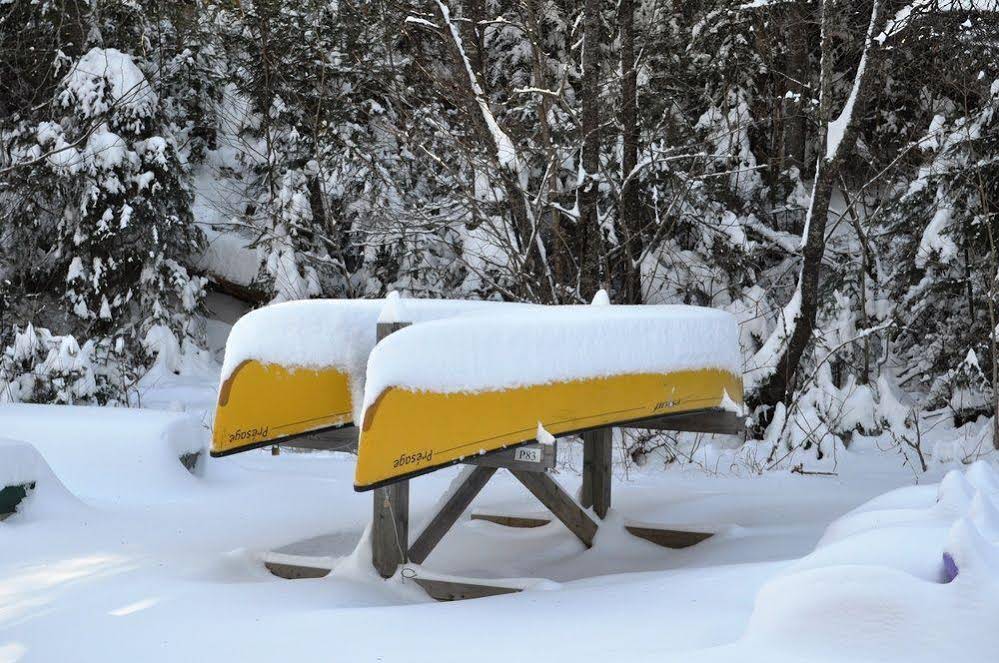 La Tanière de l'Ours Gîte B&B