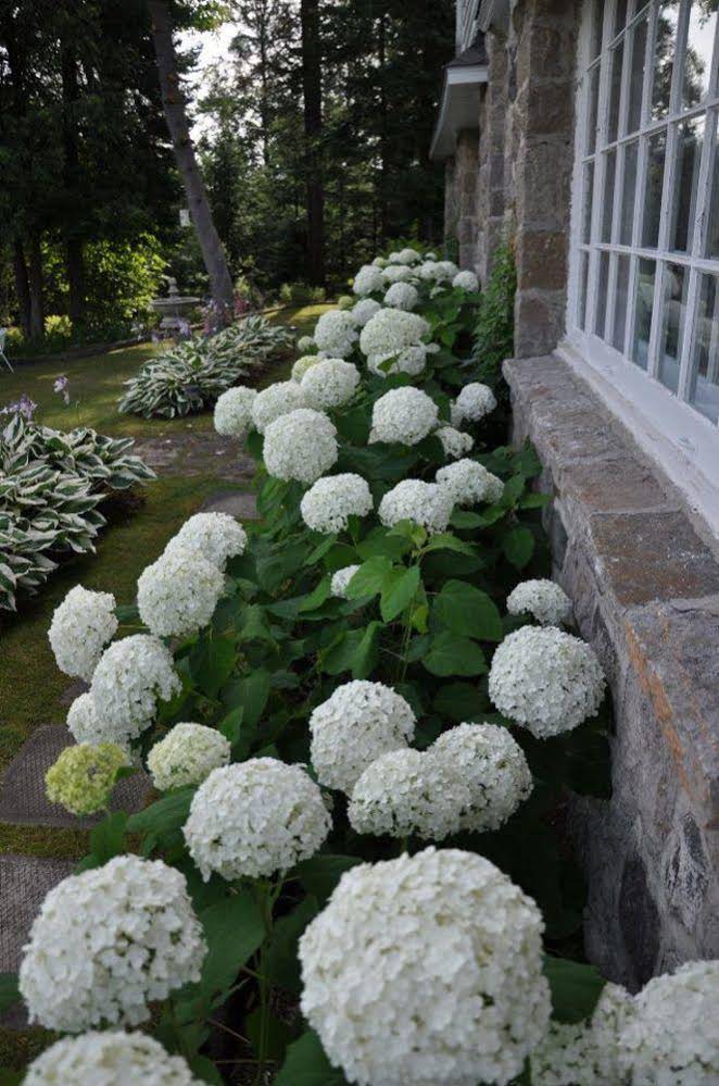 Au Gîte Pantoufles Et Pamplemousse