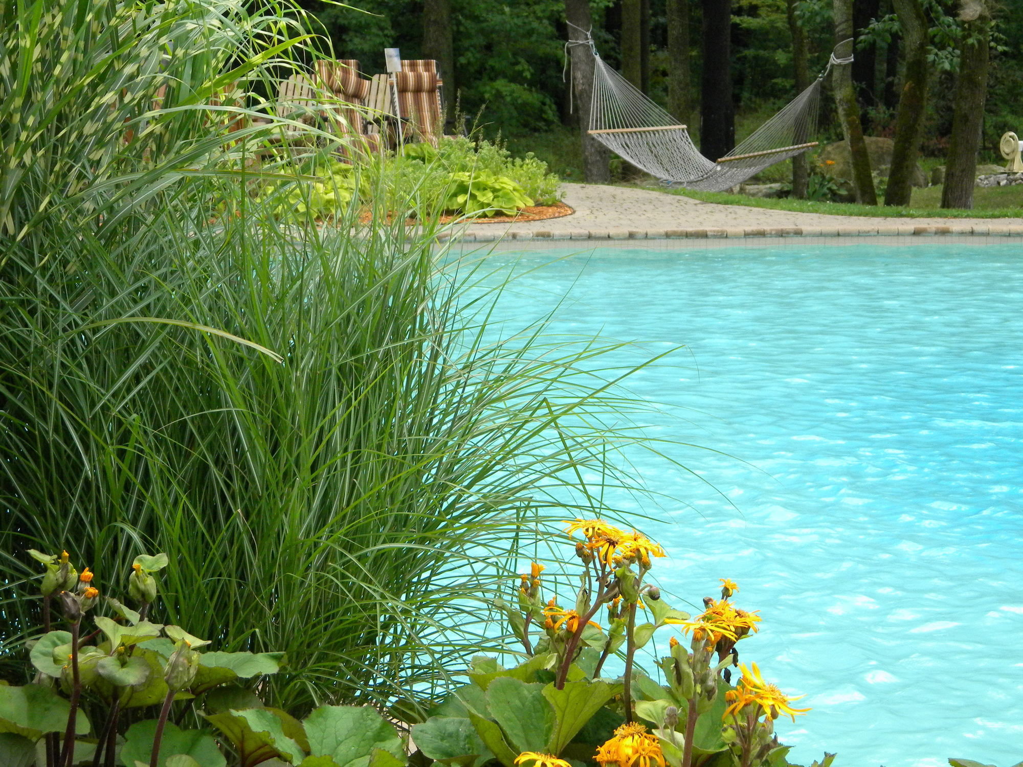 L'Oasis de l’Île