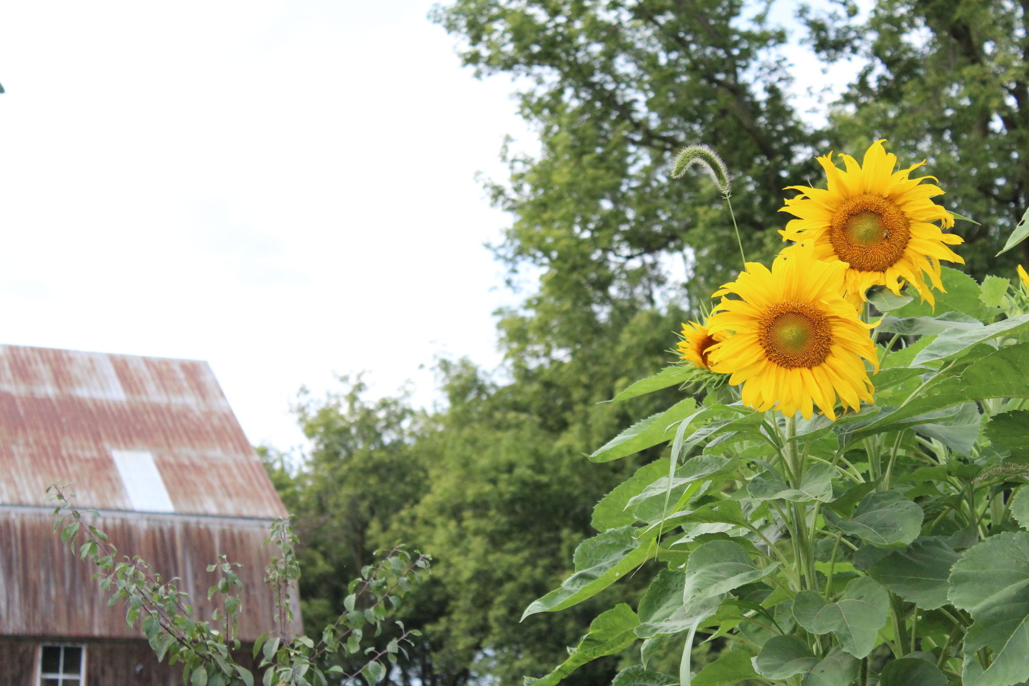 Chez Jacques et Chantale B&B