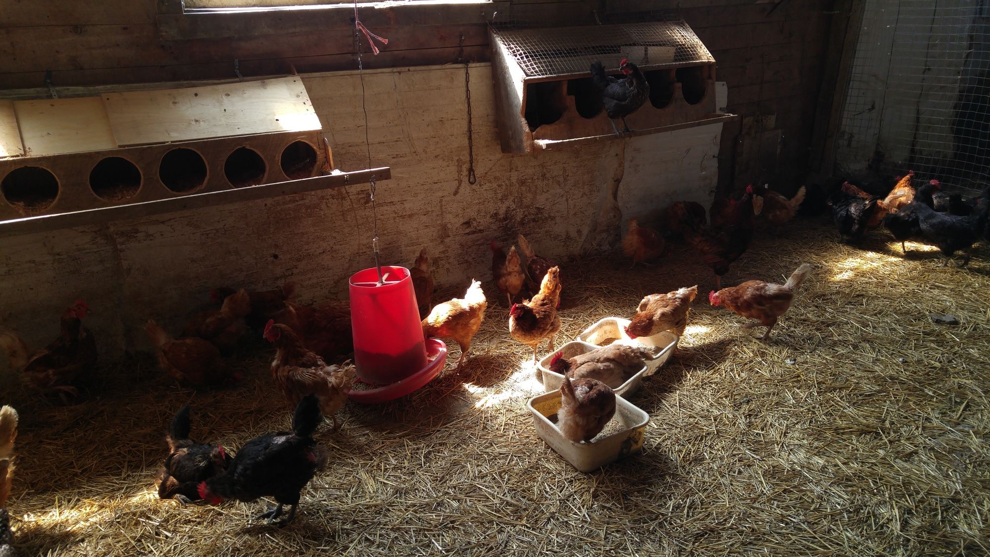 Chez Jacques et Chantale B&B