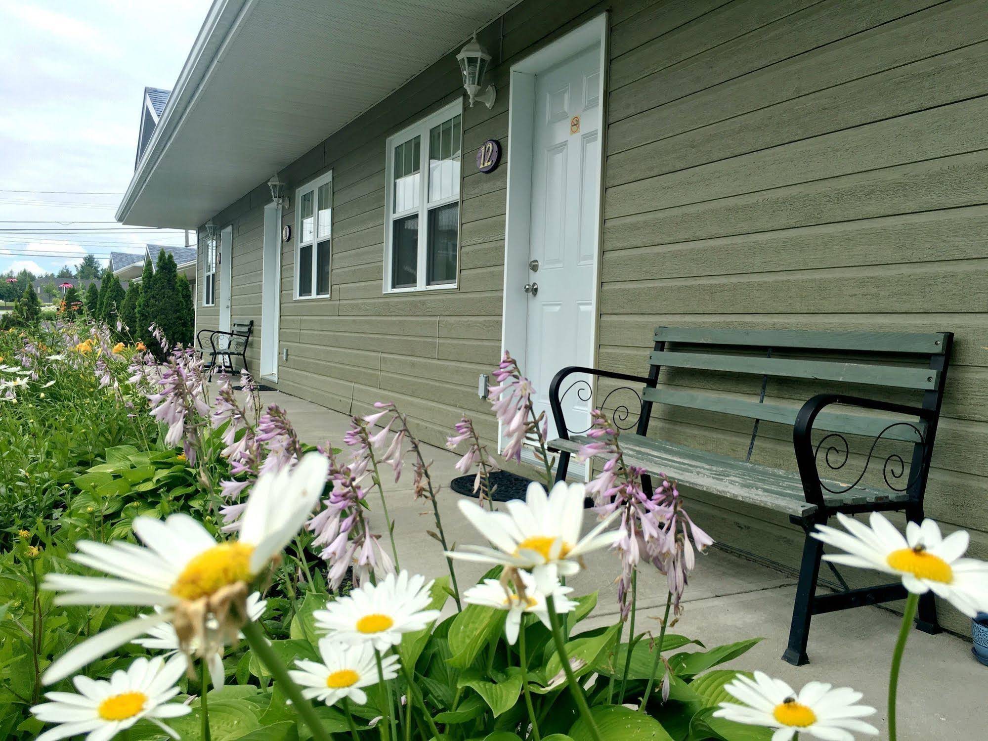 Motel Des Cedres