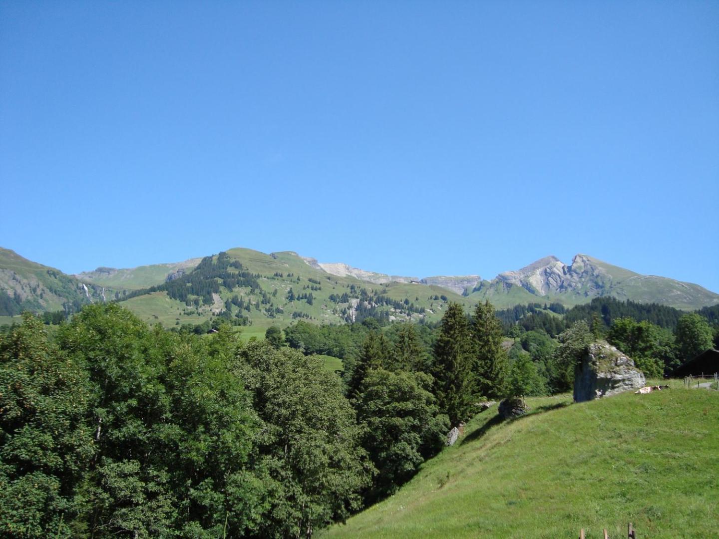 Hotel Restaurant Wetterhorn