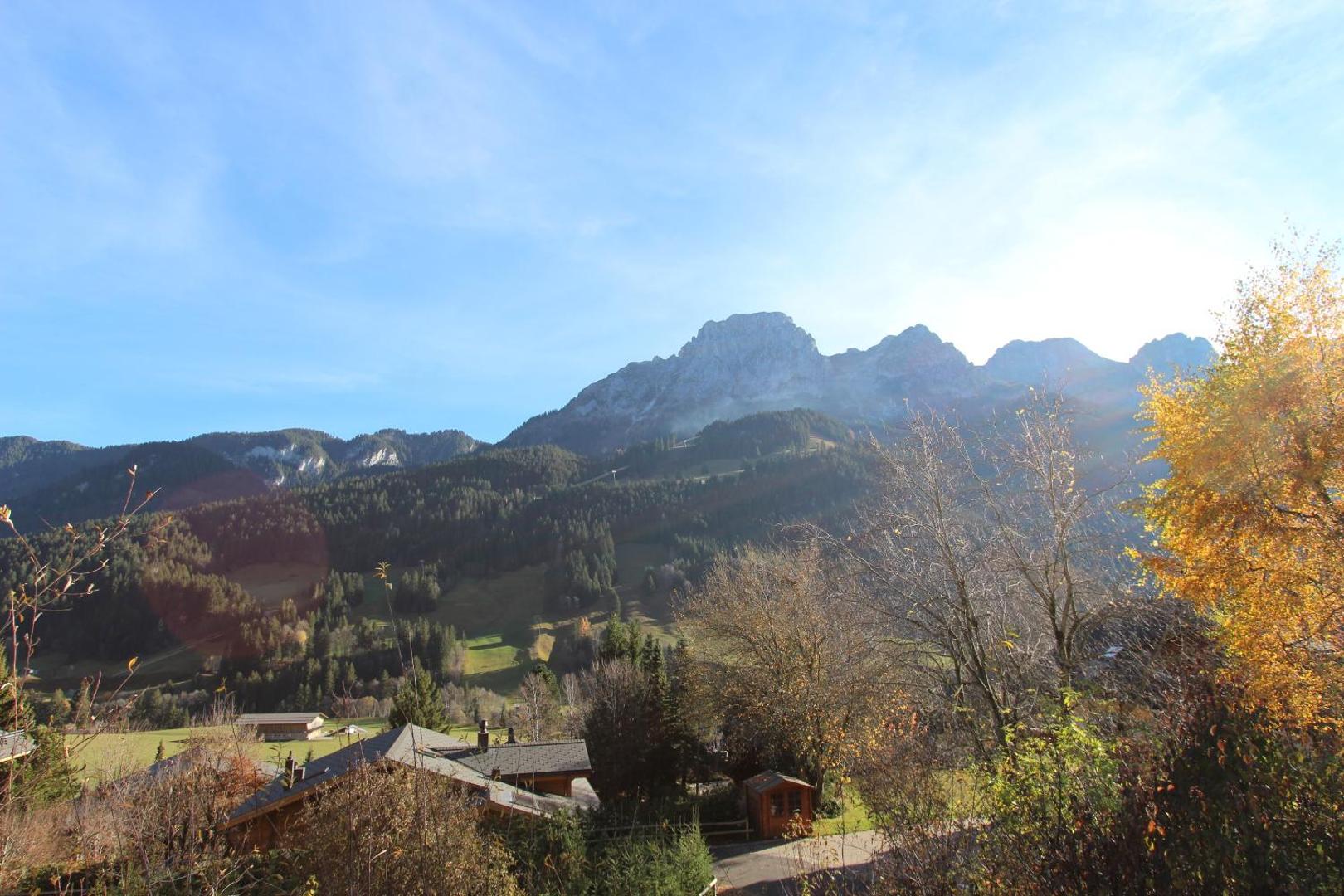 Les Jumelles