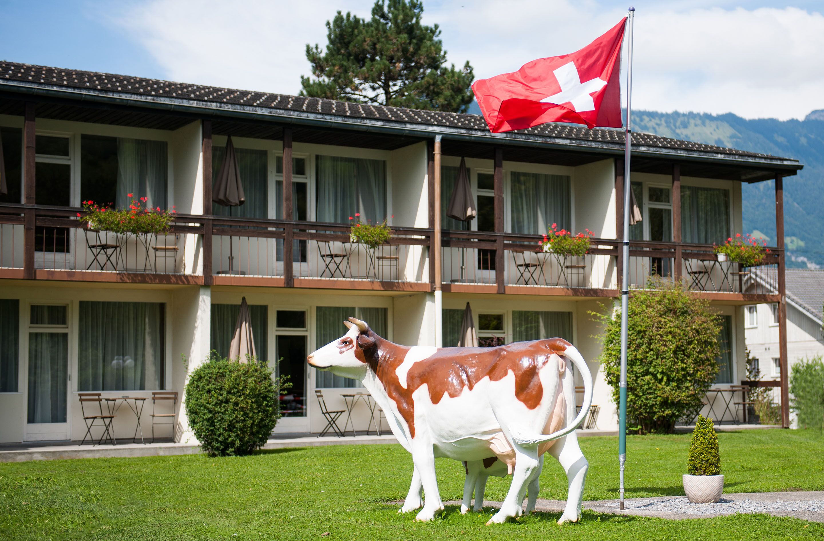 Alpine Inn by Jungfrau Hotel