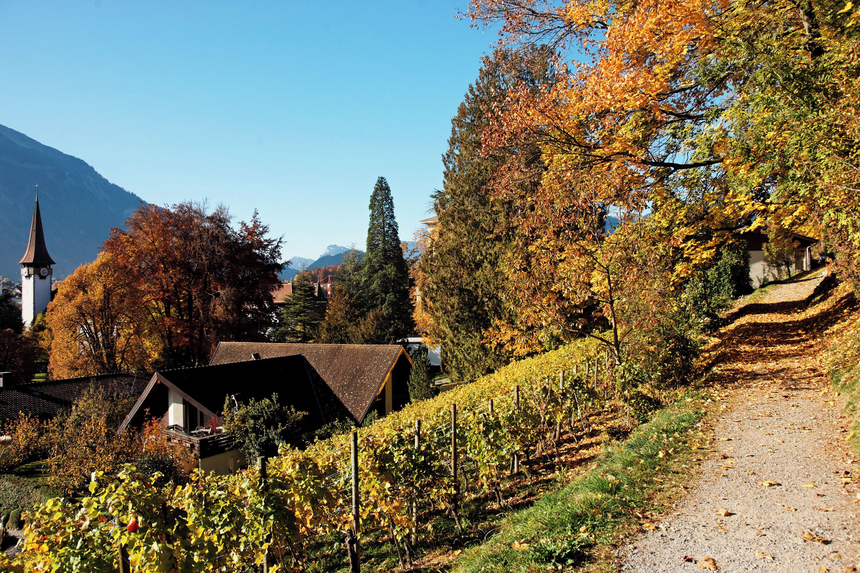 Alpine Inn by Jungfrau Hotel