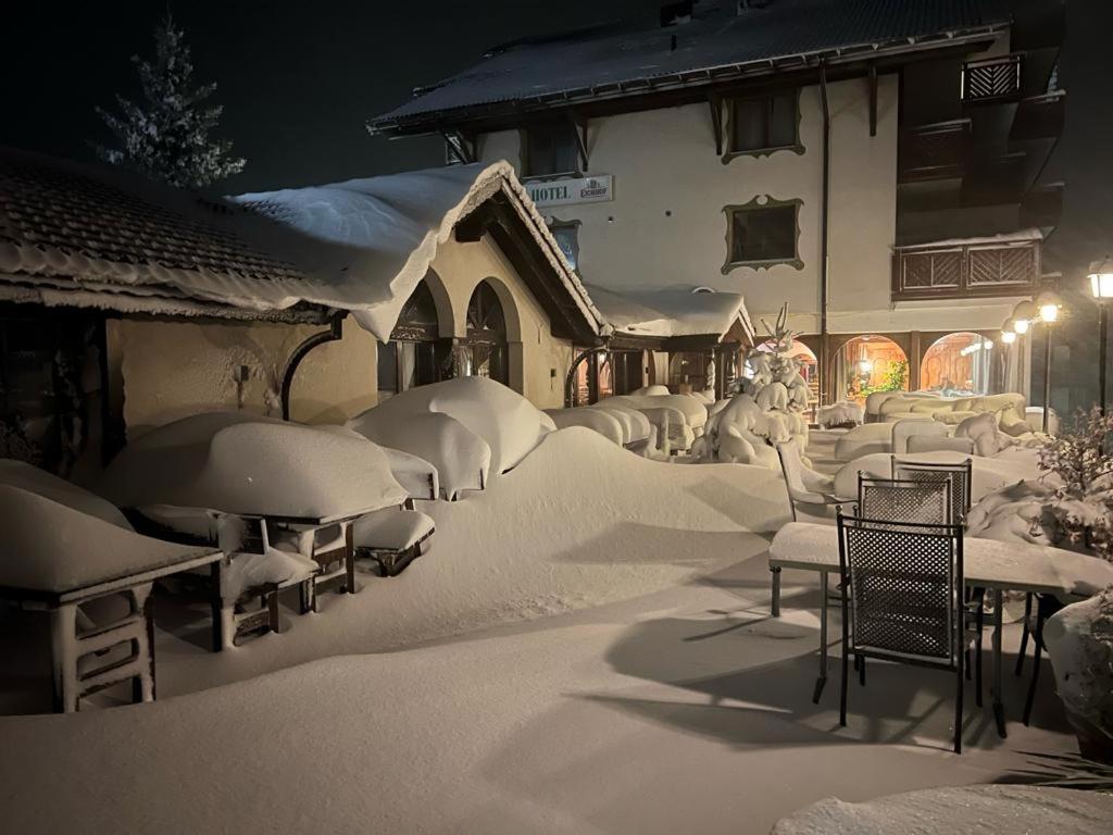 Hotel und Naturhaus Bellevue