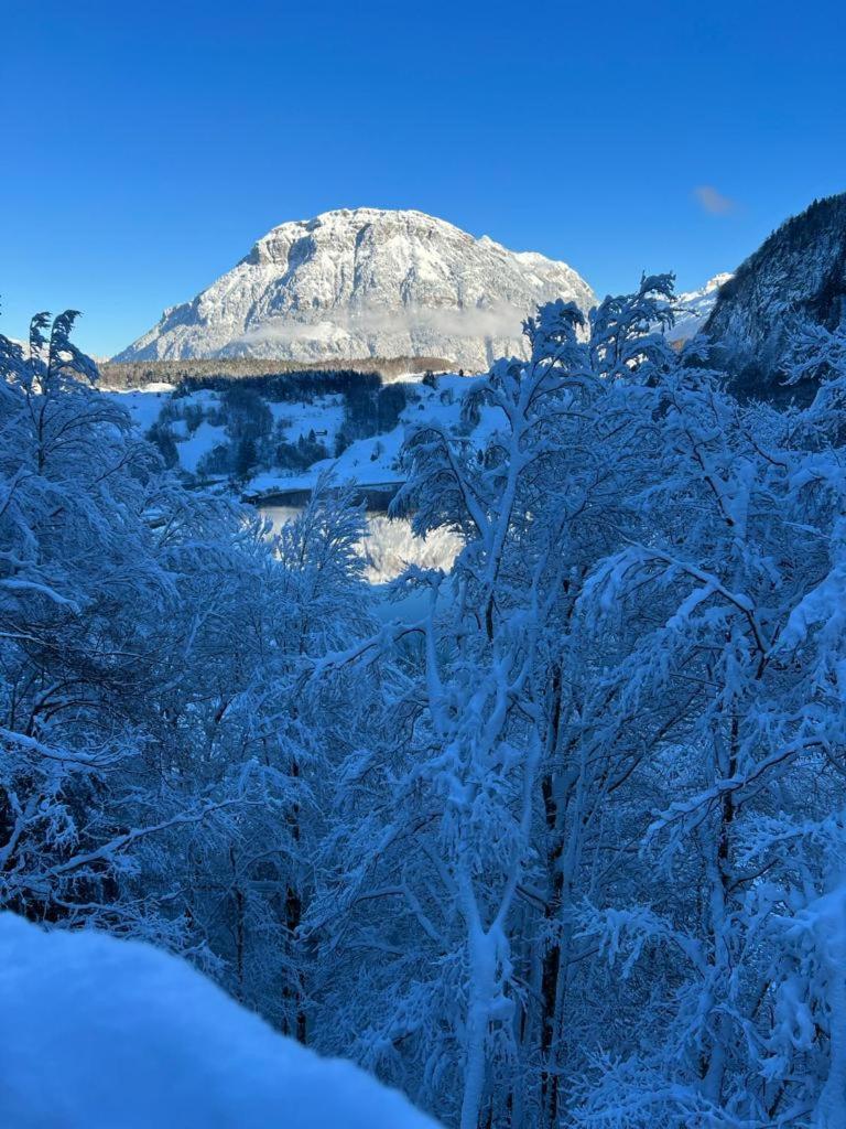 Hotel und Naturhaus Bellevue