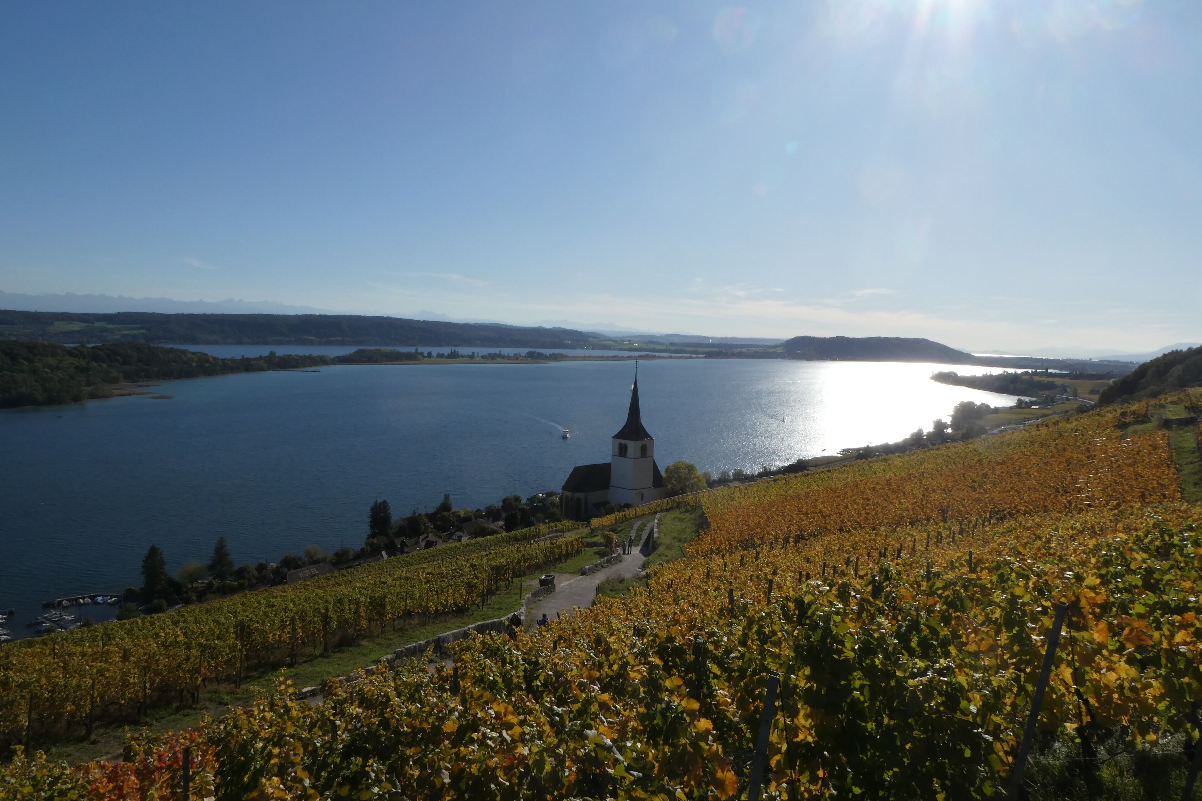 Bed & Breakfast La Petite Thielle