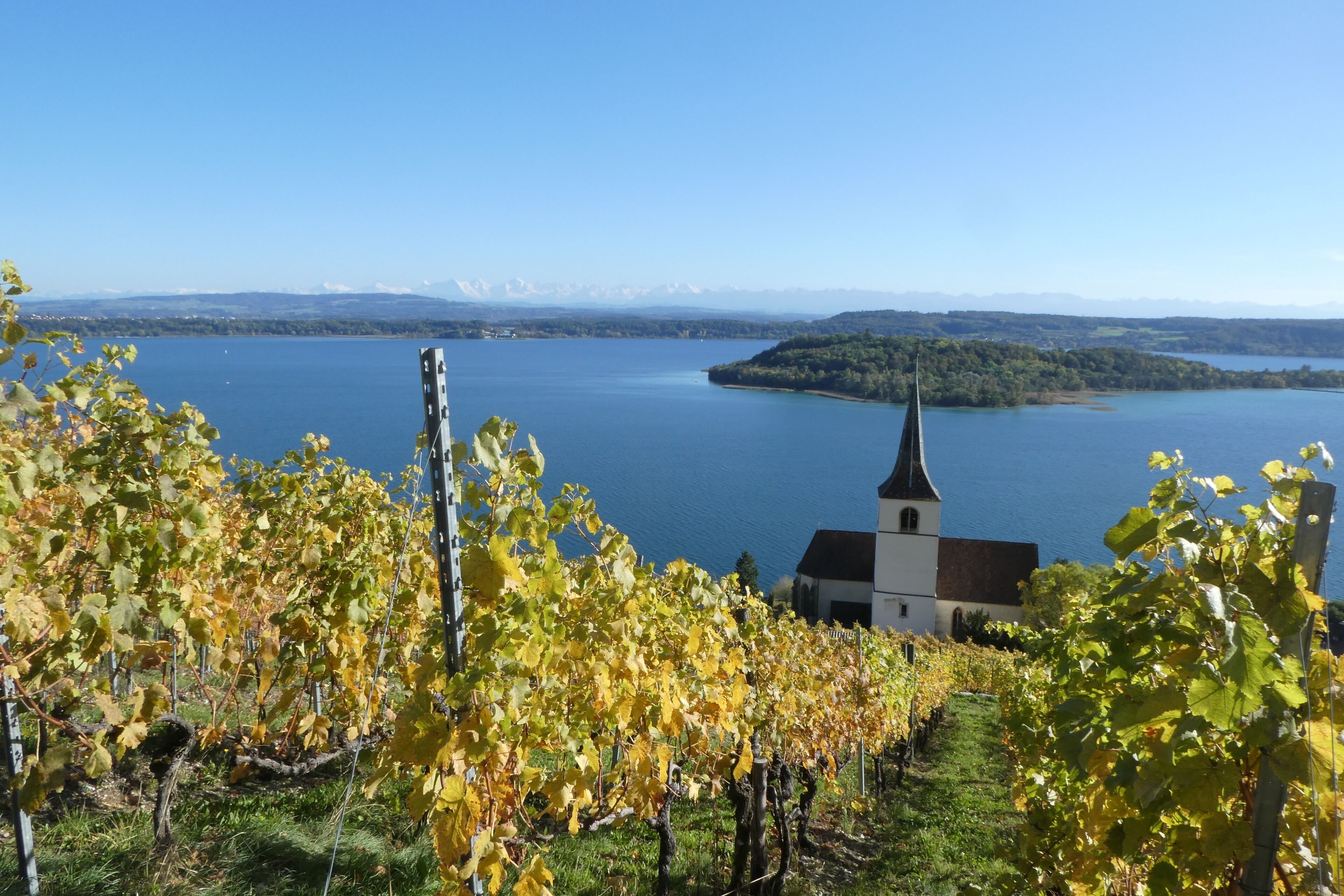 Bed & Breakfast La Petite Thielle