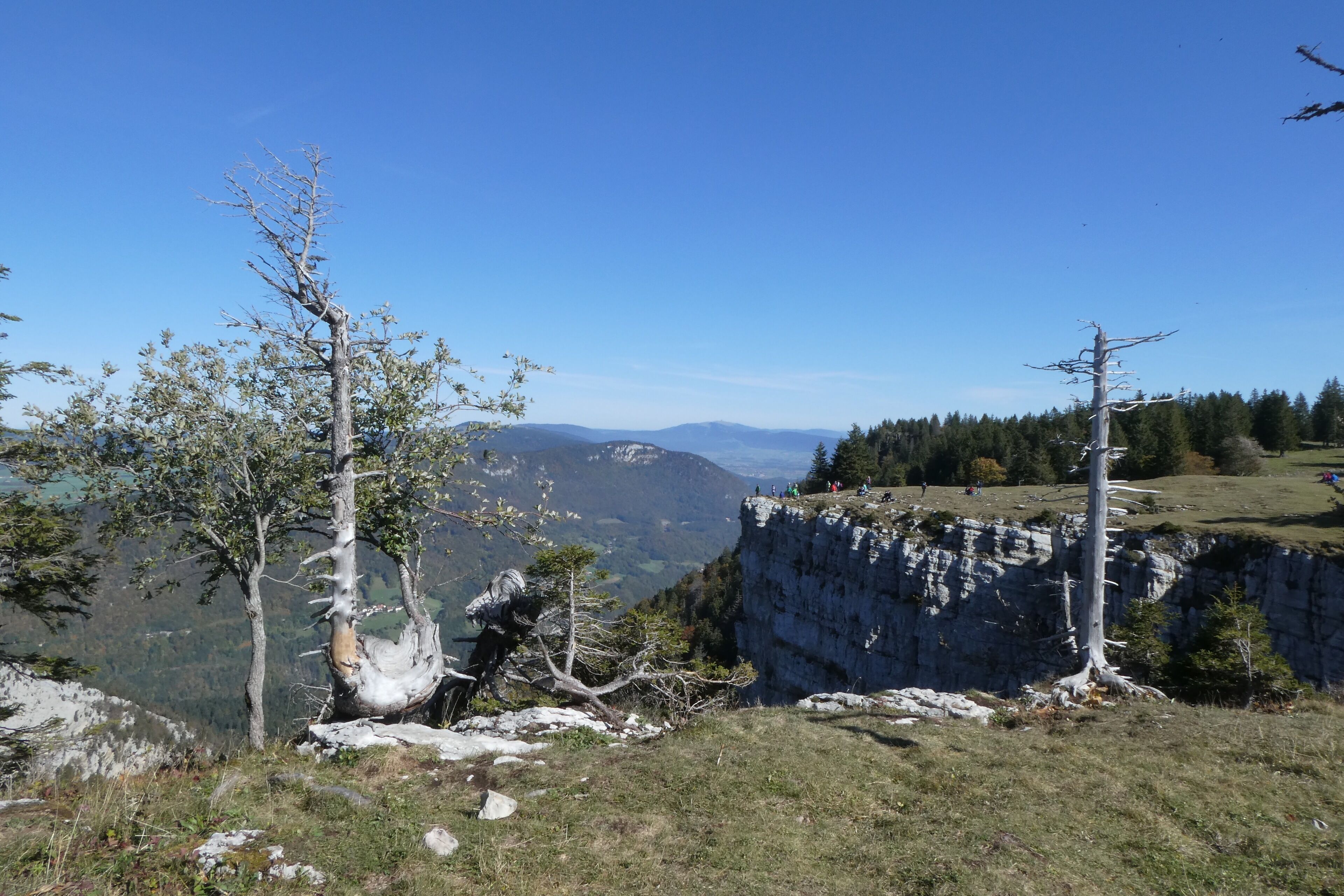 Bed & Breakfast La Petite Thielle