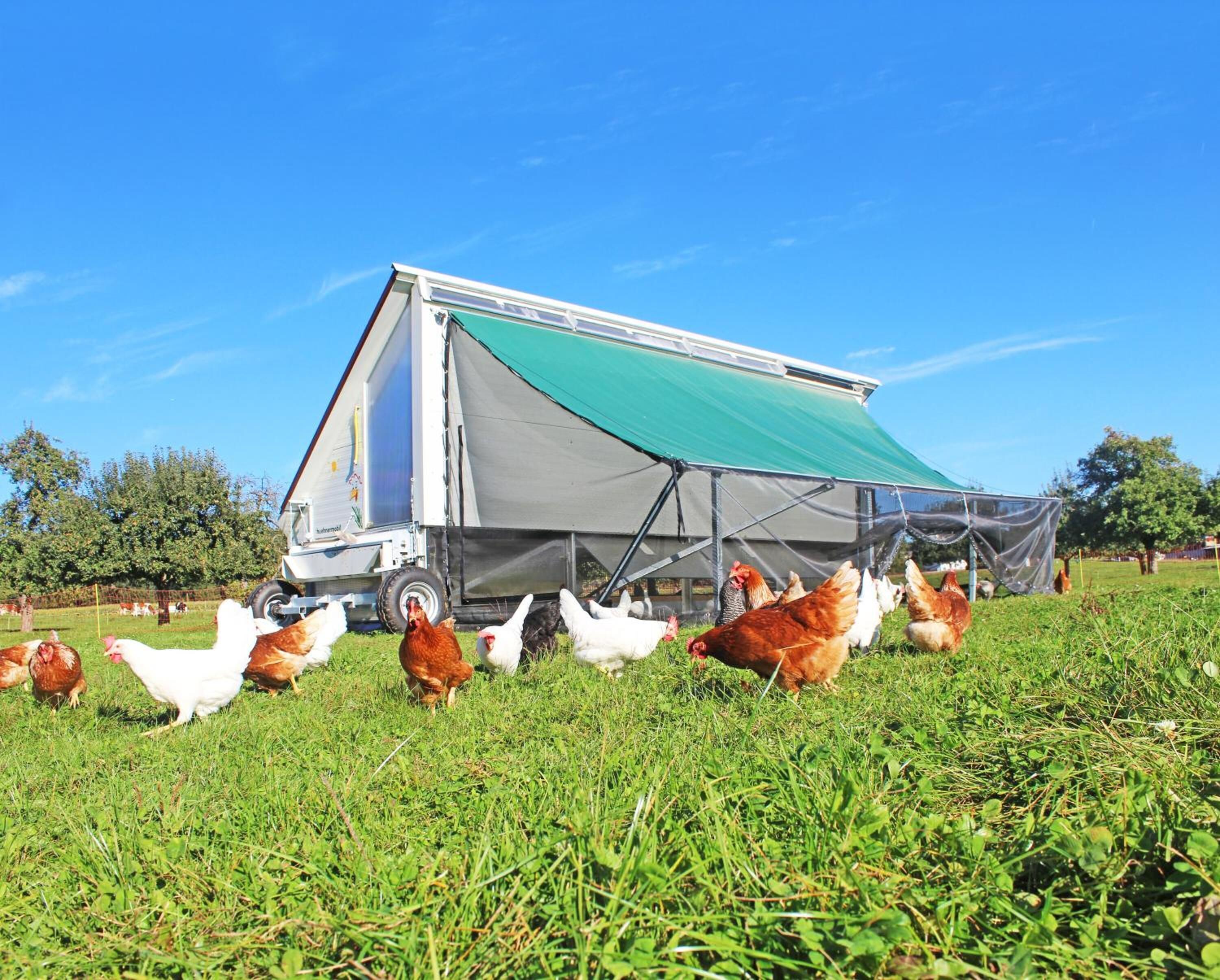 Gasthaus Zum Bauernhof