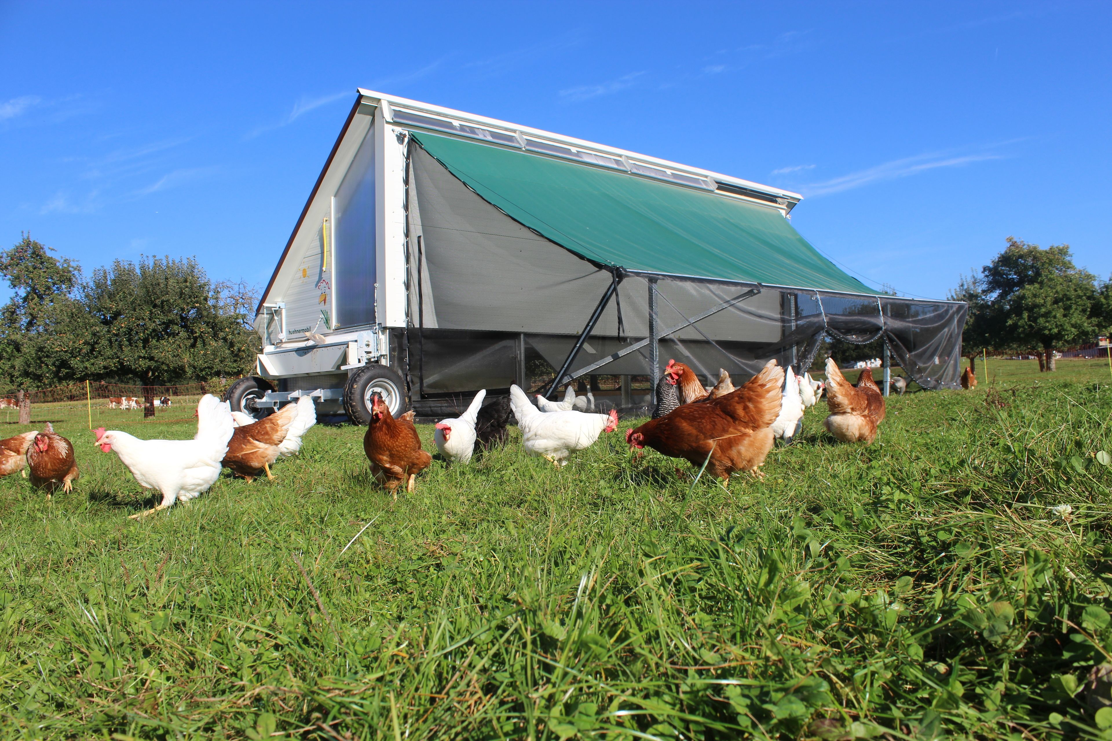 Gasthaus Zum Bauernhof