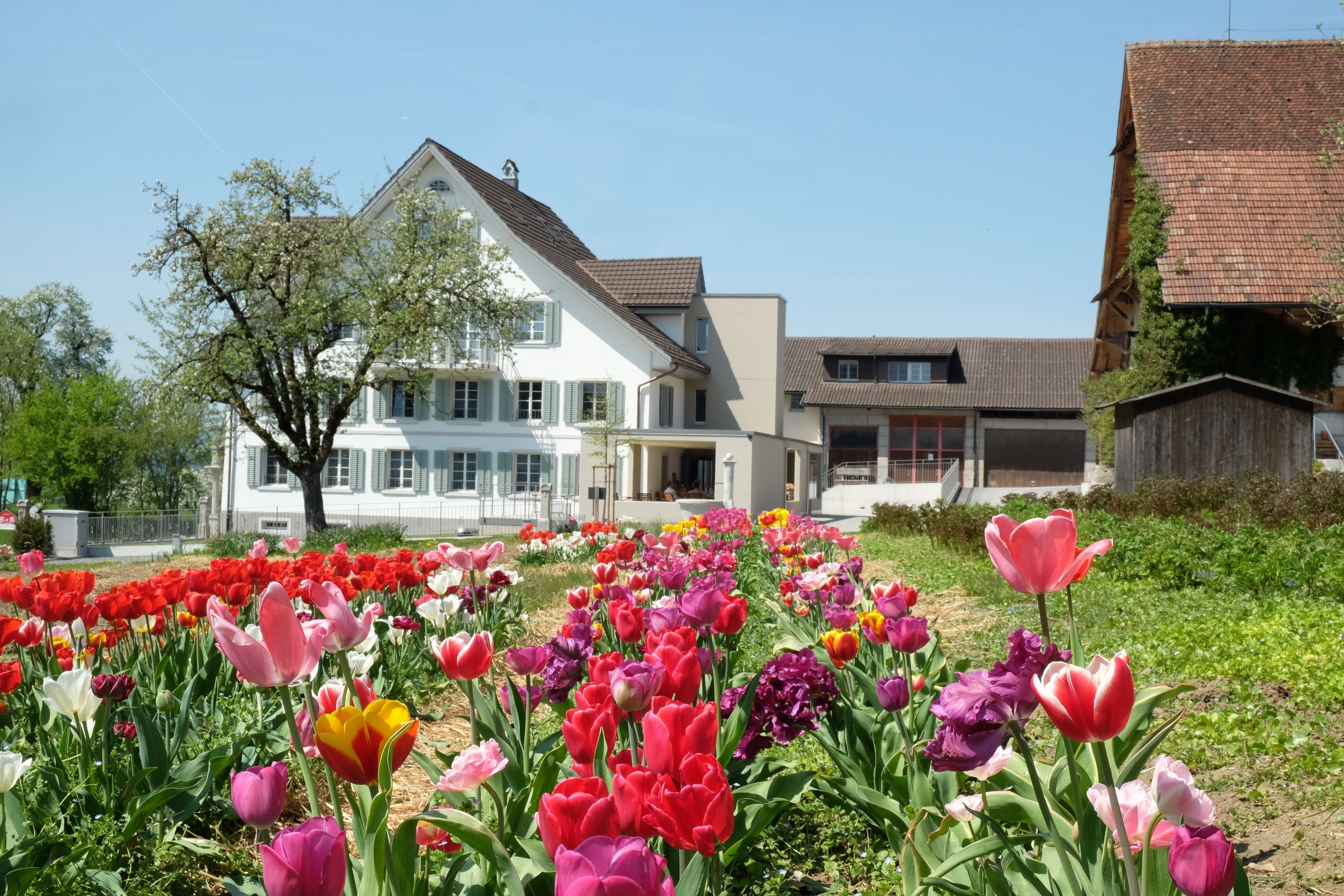 Gasthaus Zum Bauernhof