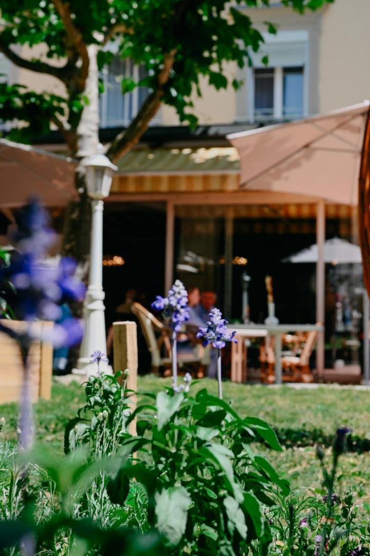 International & Terminus