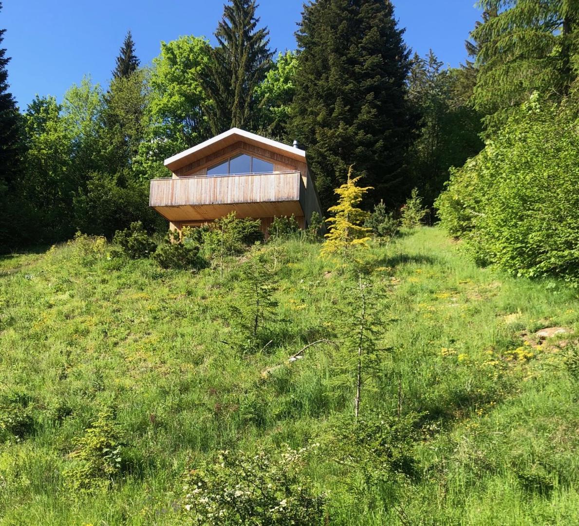 Chalet Contemporain