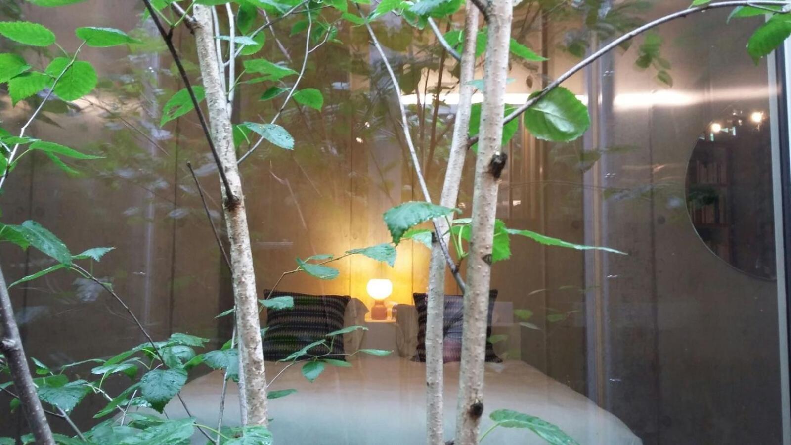 Chalet Contemporain