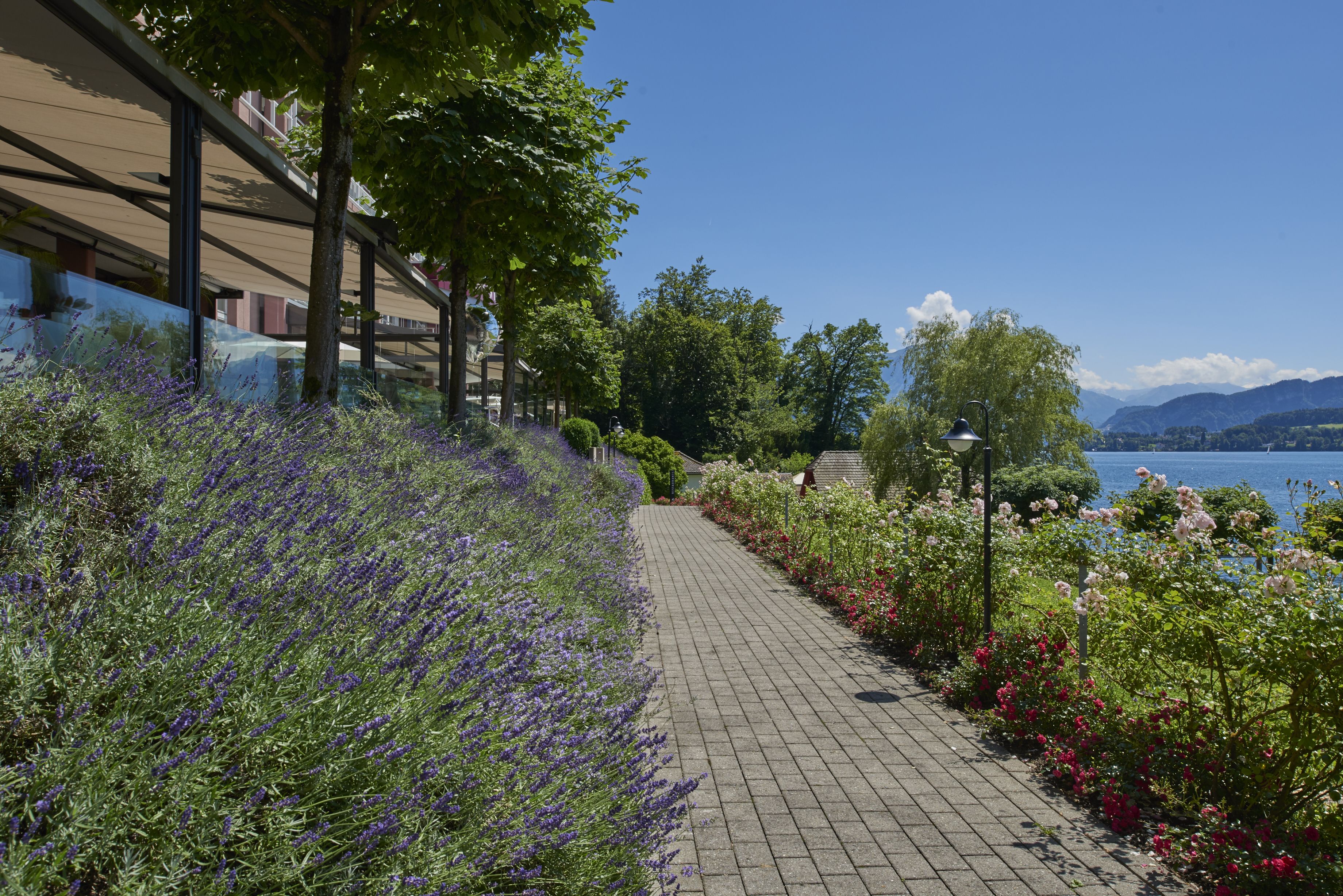 Hermitage Lake Lucerne