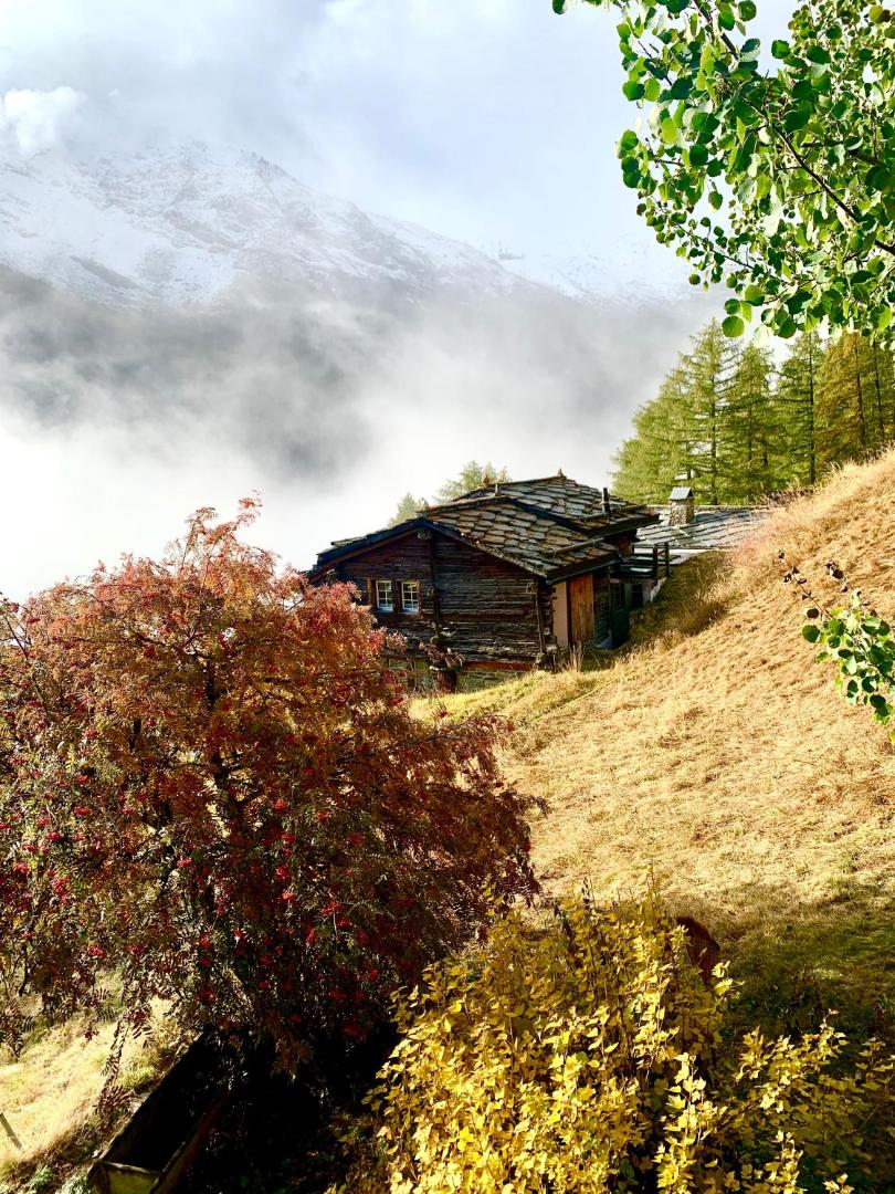 Chalet Birkhahn