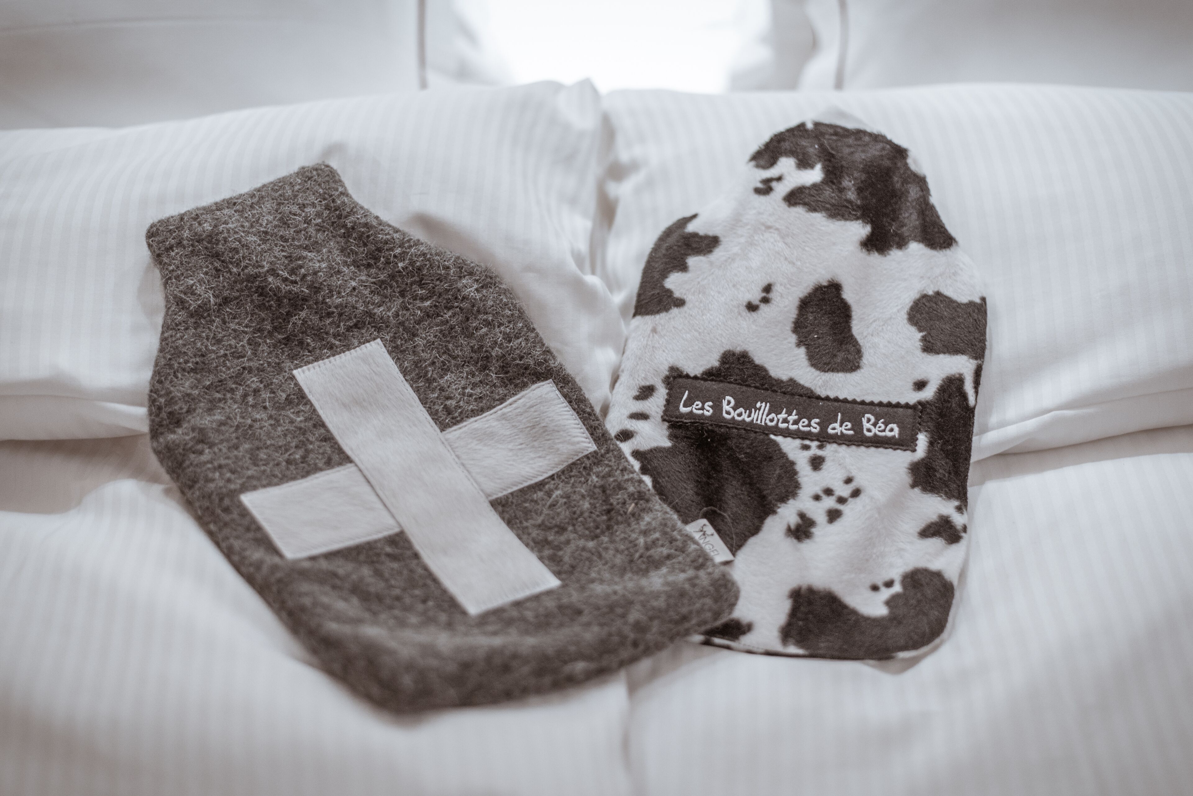 Art Boutique Hotel Beau-Séjour Champéry