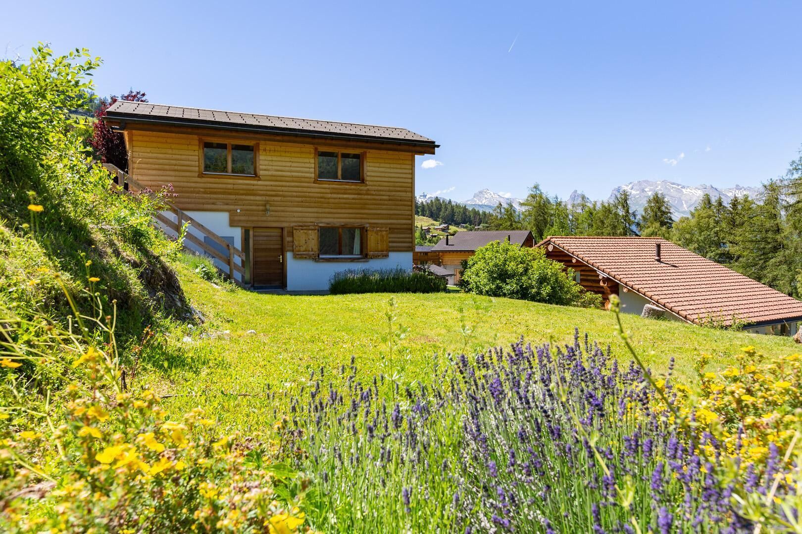Chalet Lupin