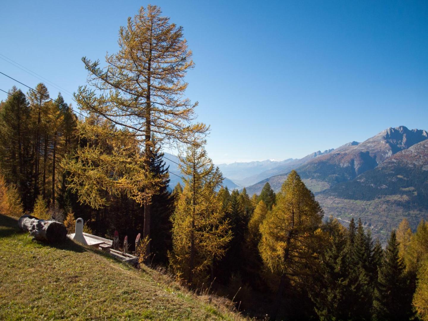 Chalet Talblick