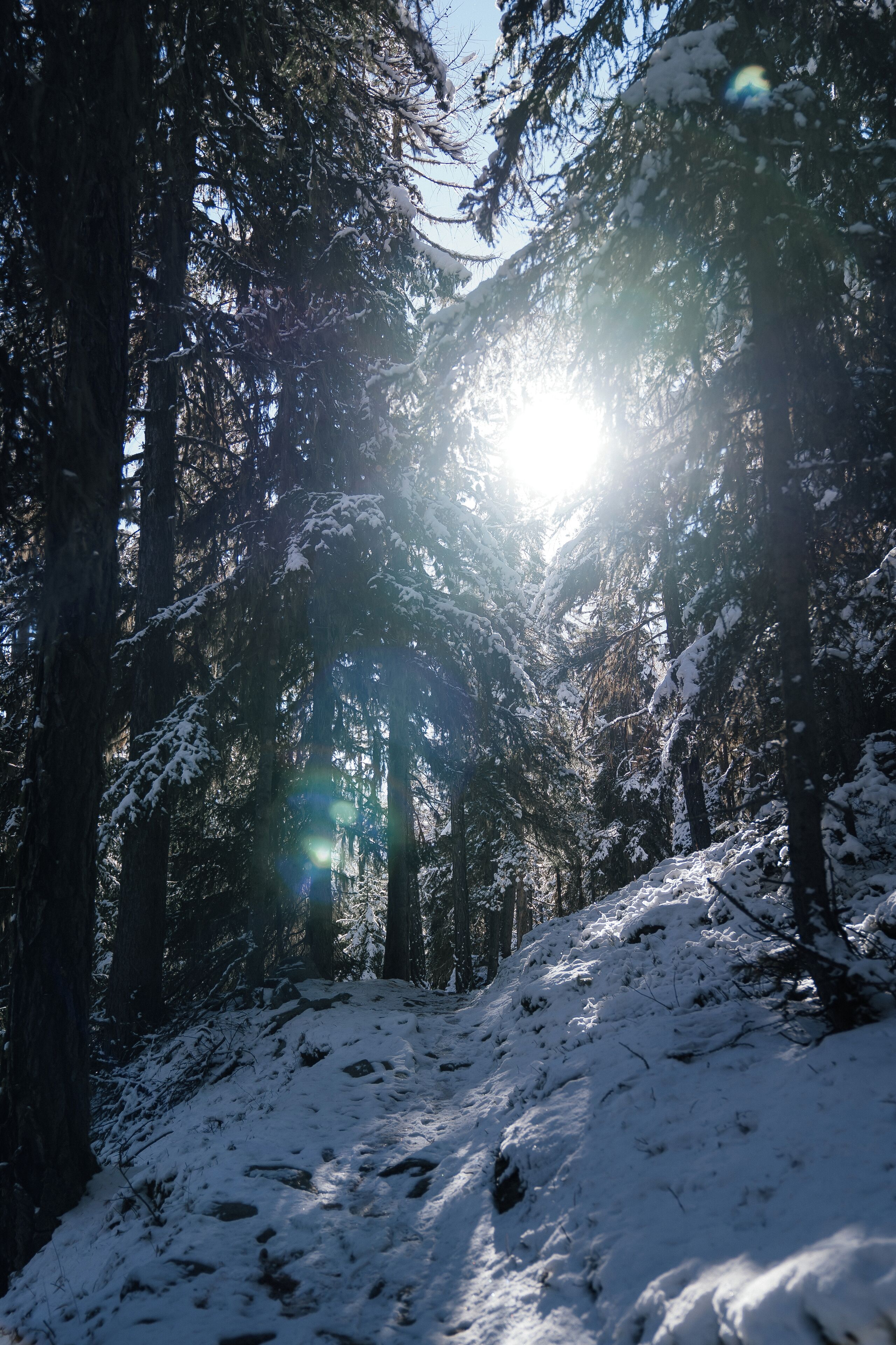 Waldhotel Fletschhorn - Panoramic Retreat in Saas Fee