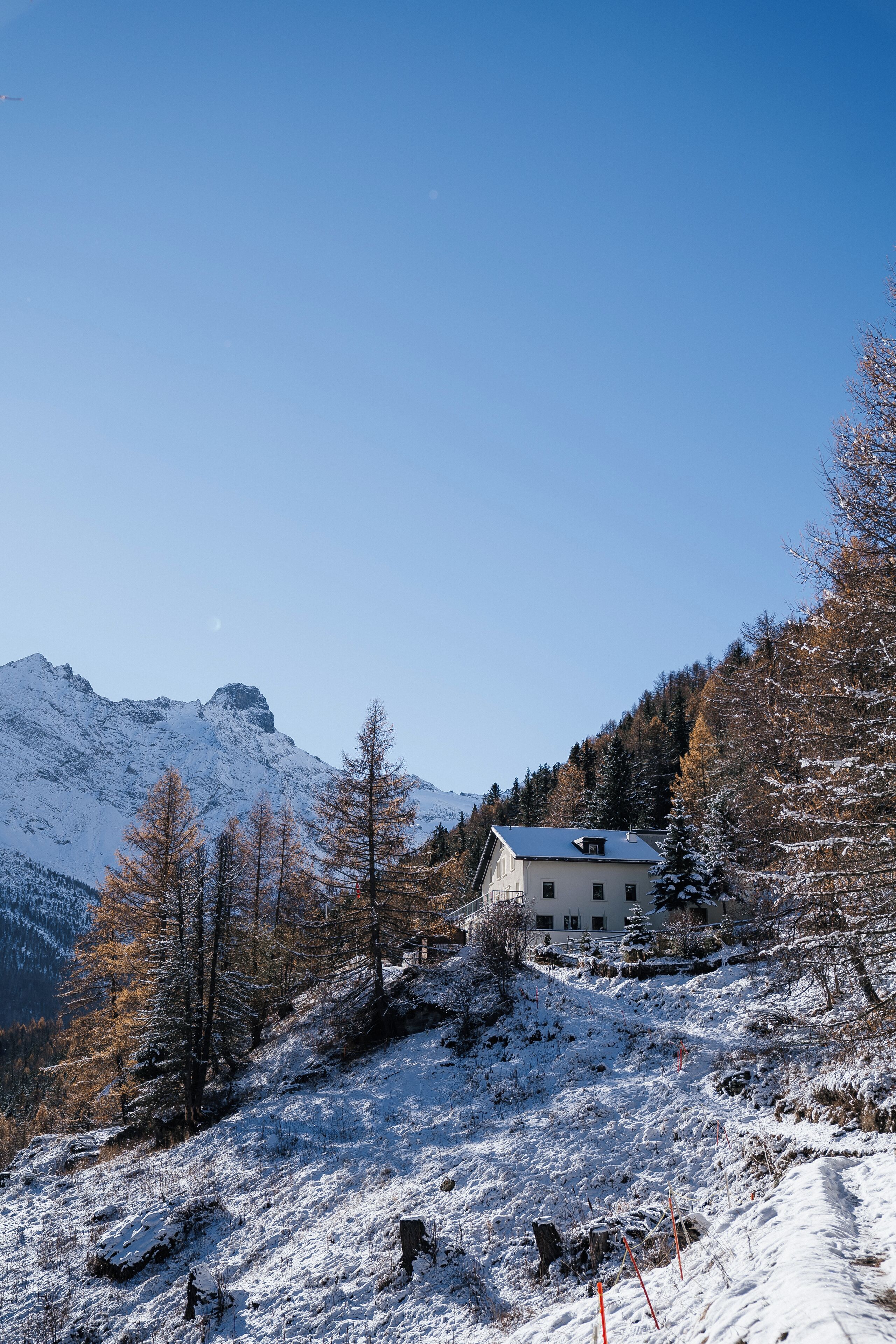 Waldhotel Fletschhorn - Panoramic Retreat in Saas Fee