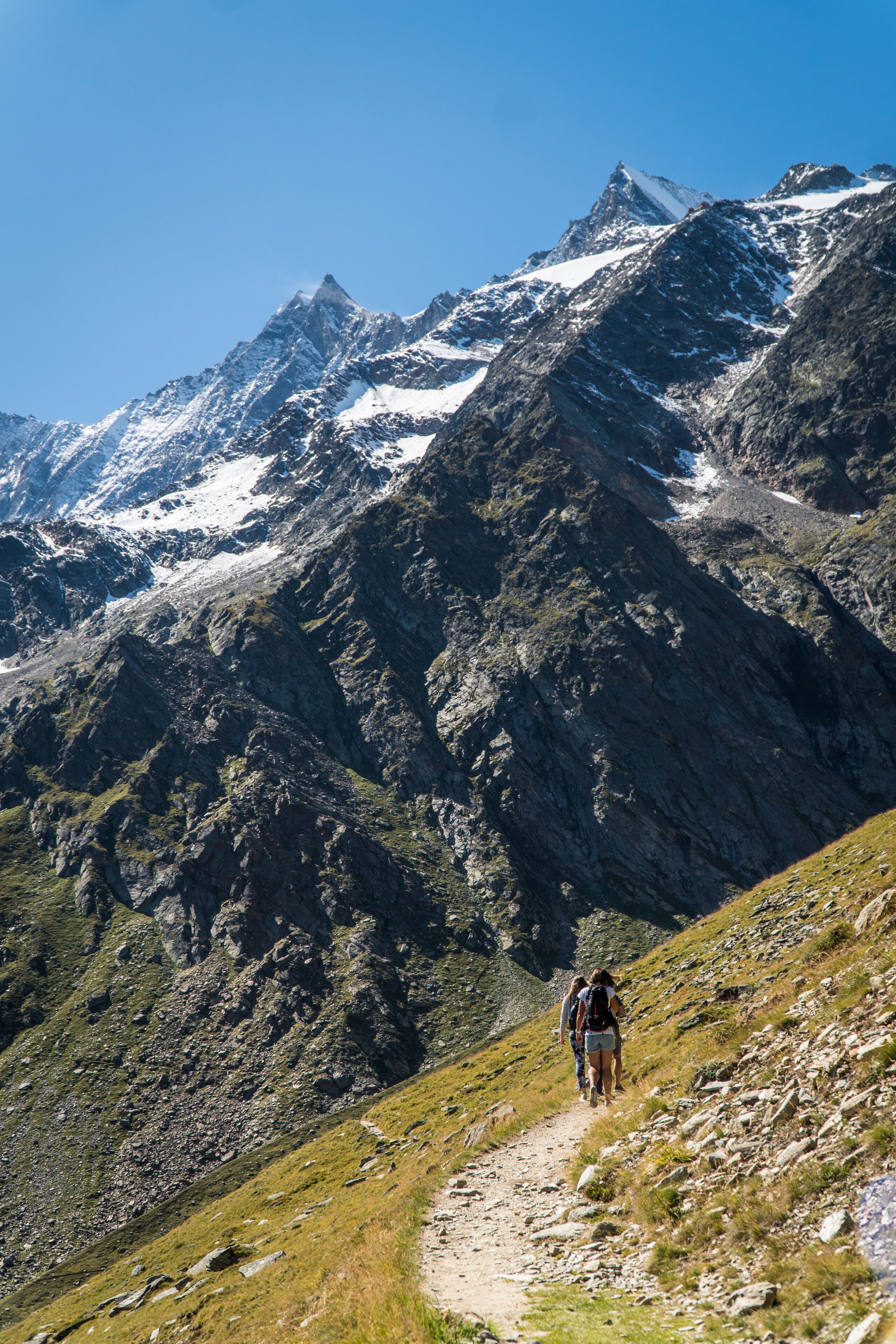 Walliserhof Grand-Hotel & Spa